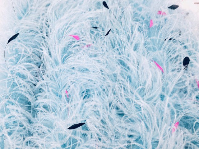 Ostrich Feather Boa with Stripped Coque - Fashion Colours