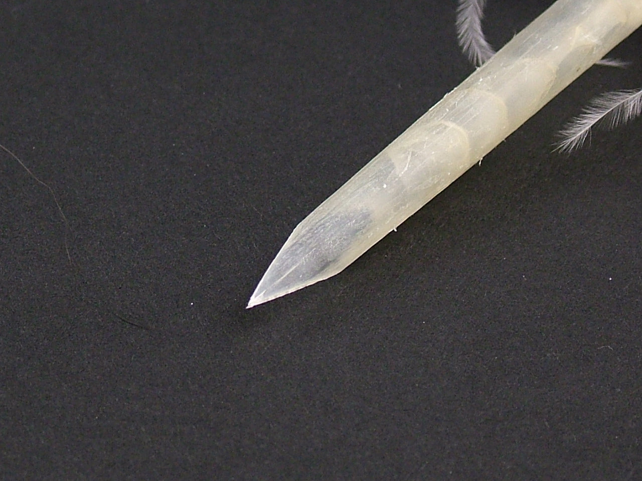 Goose Quill Feather Pens - Hand cut (Pack of 10)