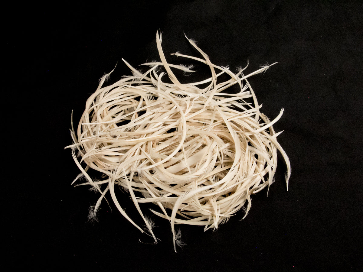 Bulk Goose Biot Feathers