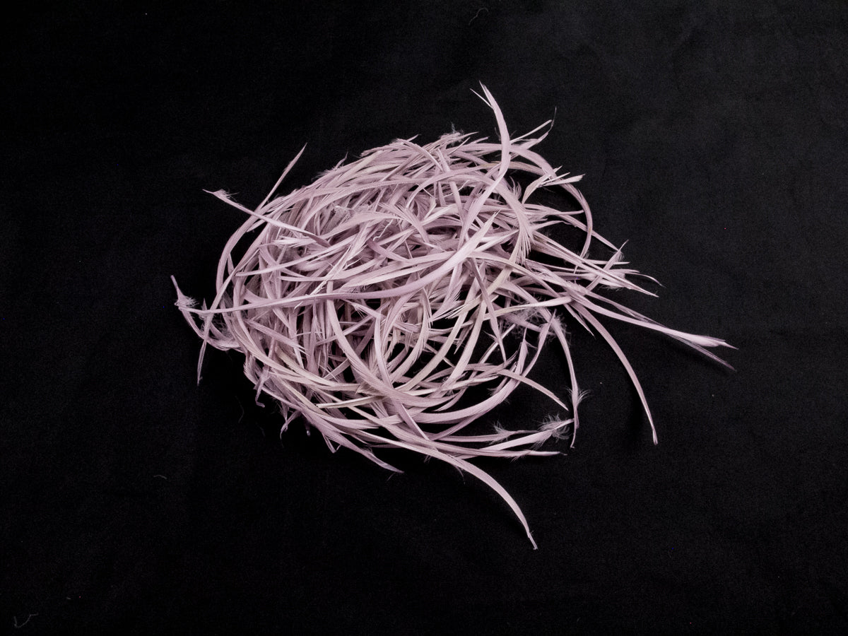 Bulk Goose Biot Feathers