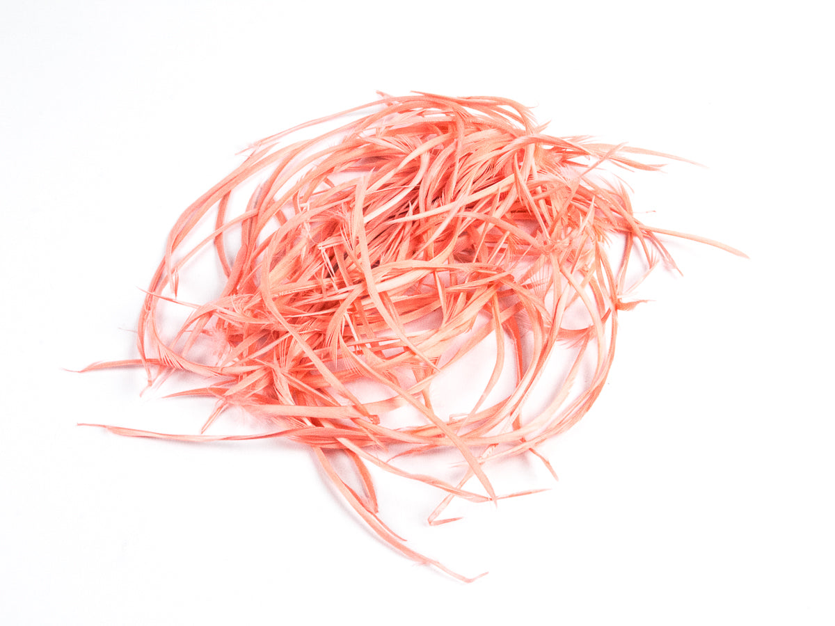 Bulk Goose Biot Feathers