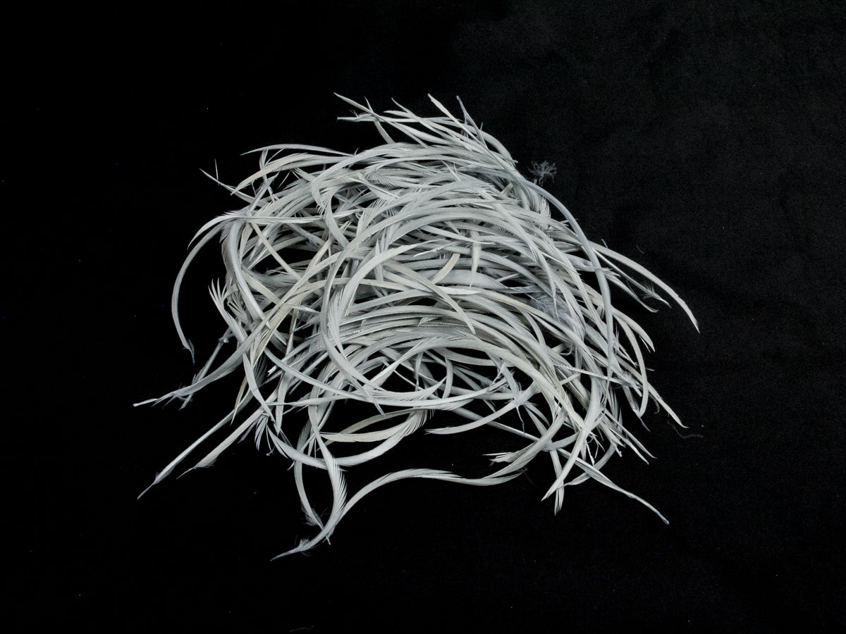 Bulk Goose Biot Feathers