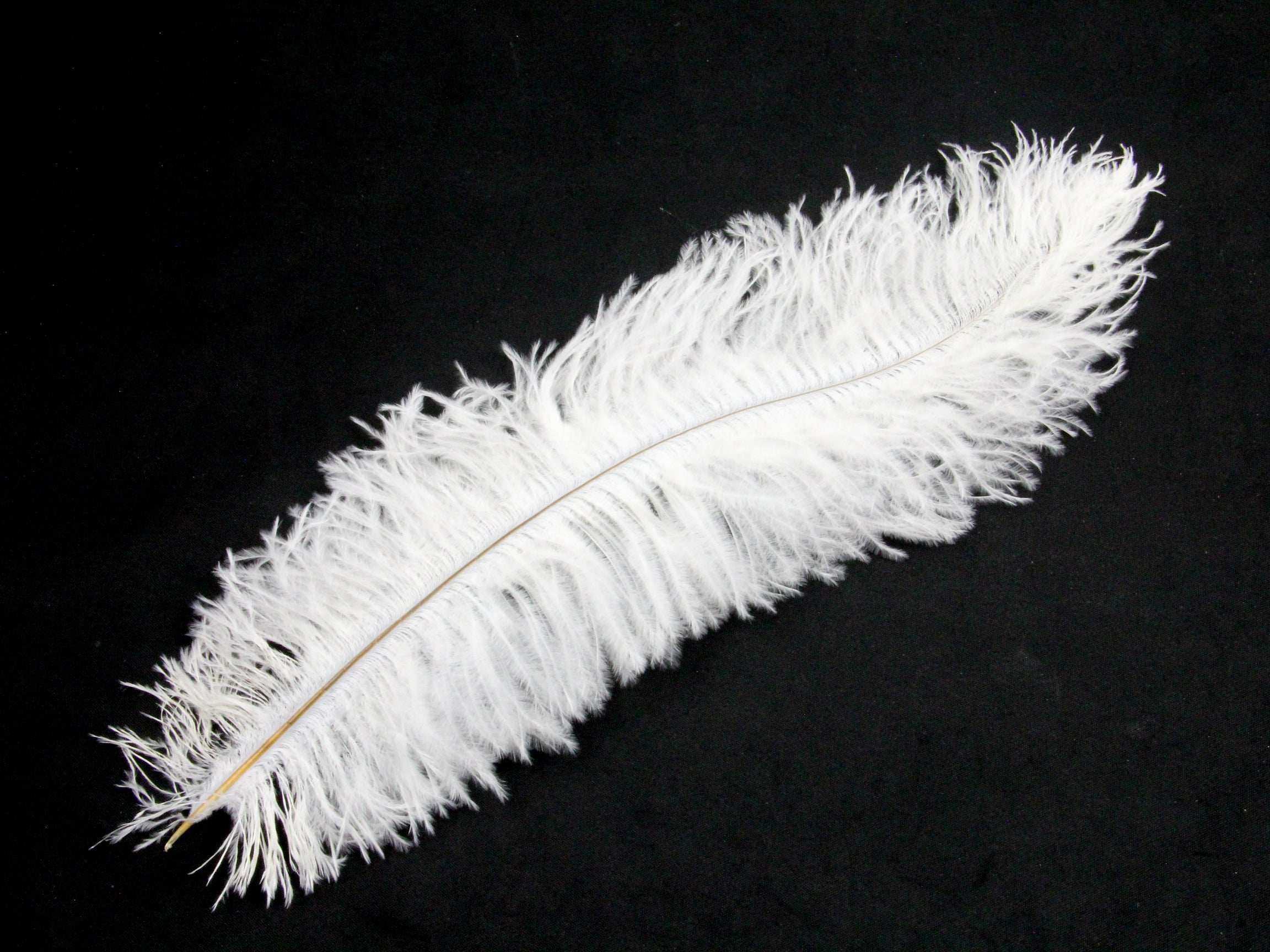 Ostrich Blondine Feather - Pack of 10