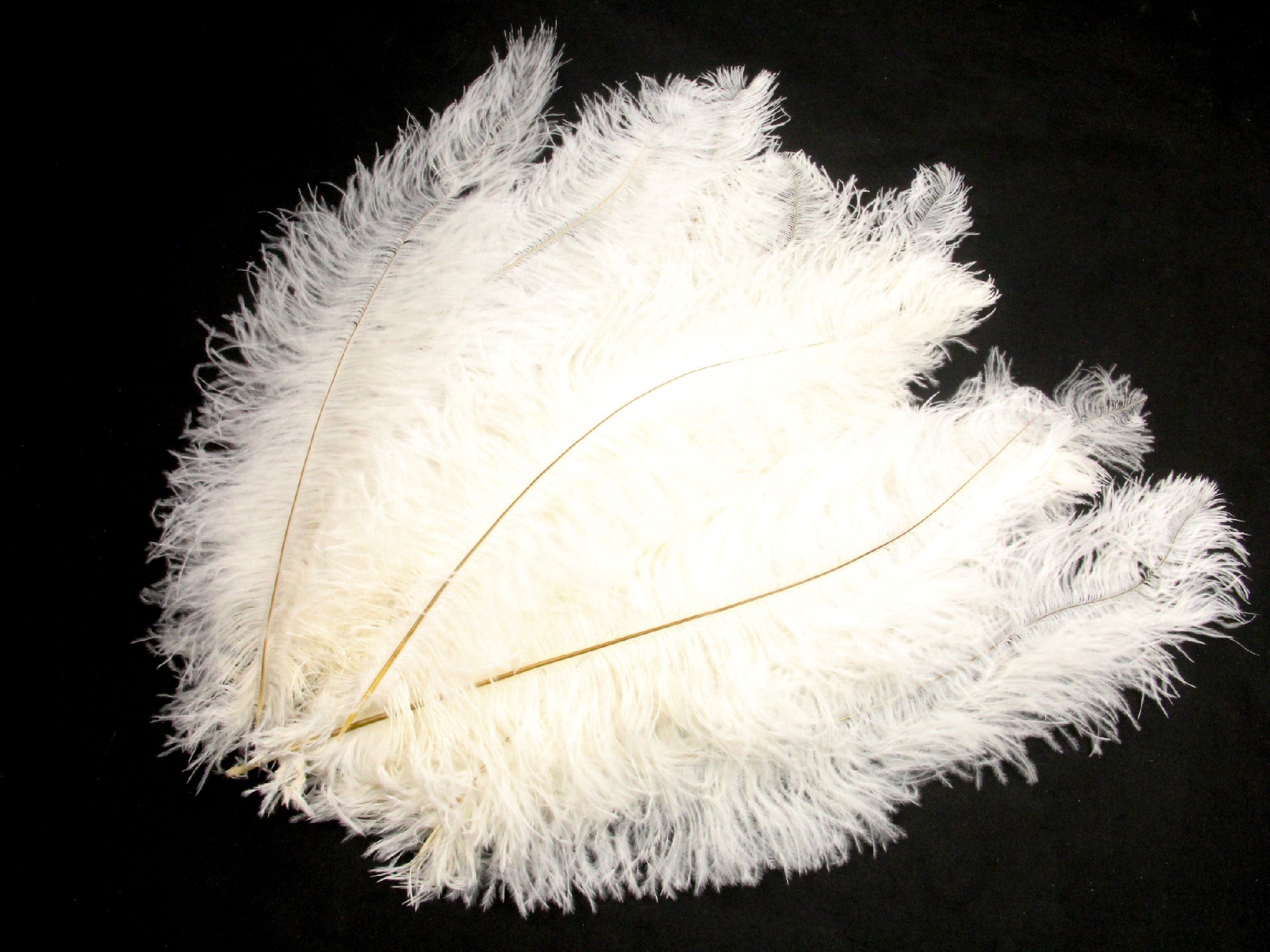 Ostrich Blondine Feather - Pack of 10