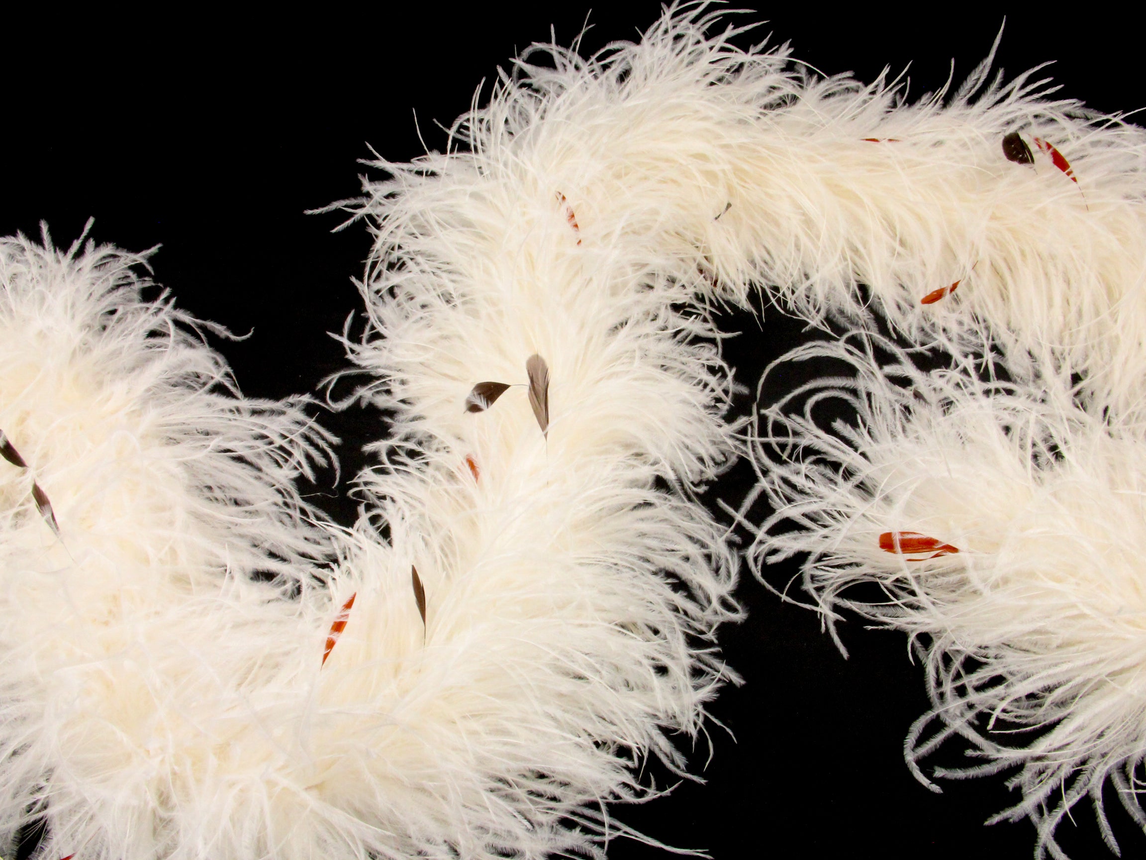 Ostrich Feather Boa with Stripped Coque - Fashion Colours