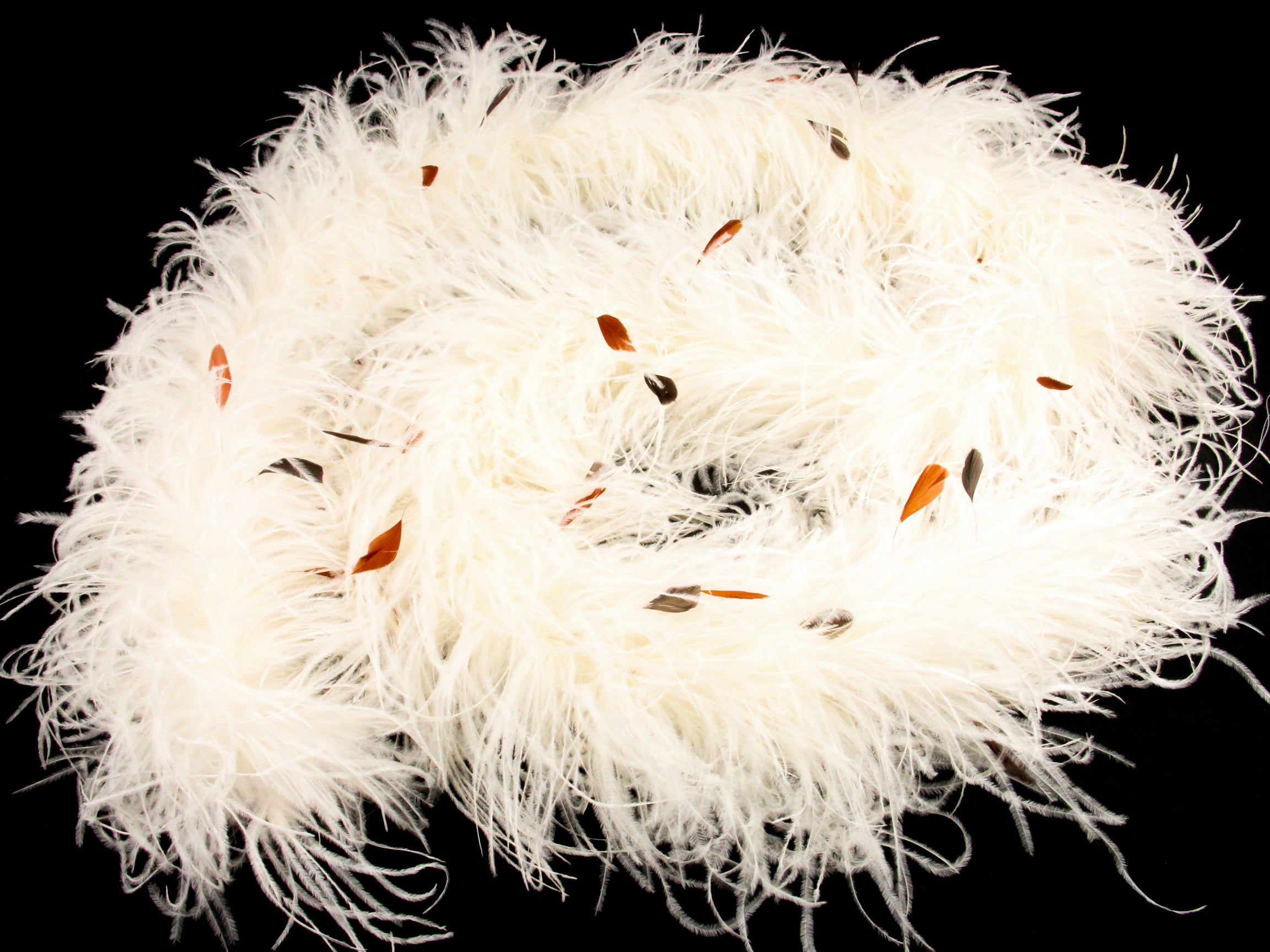 Ostrich Feather Boa with Stripped Coque - Dancewear Colours