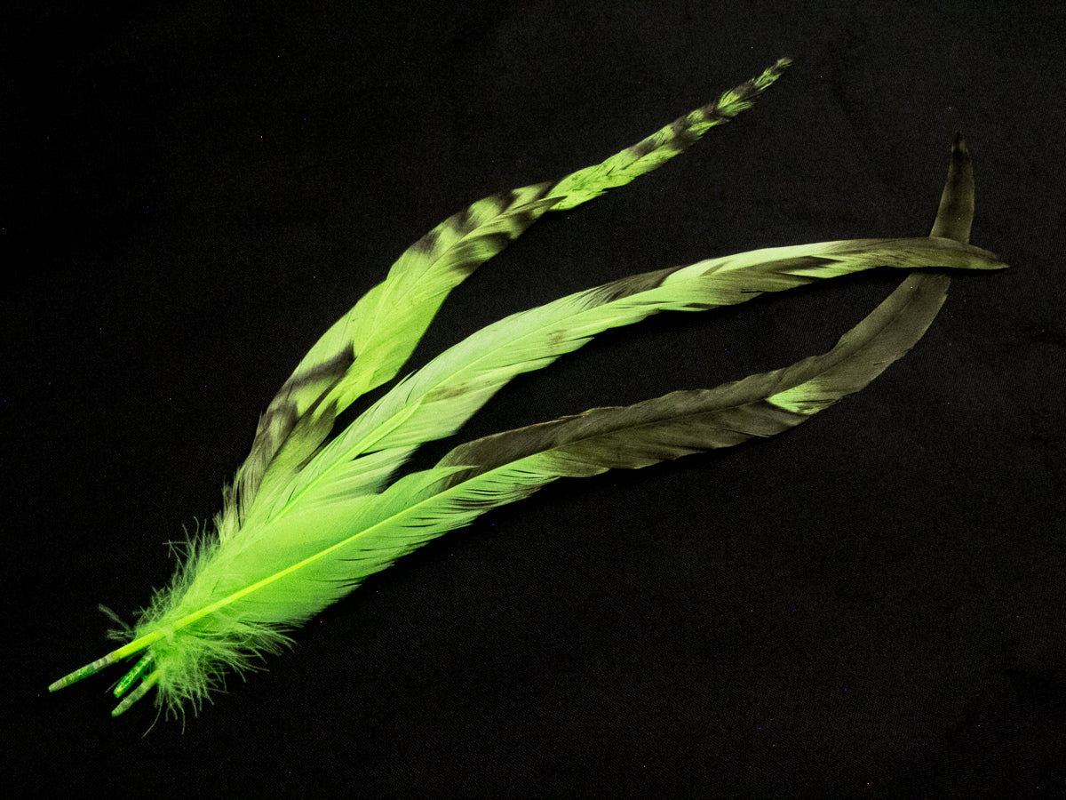 Long Chinchilla Coque Fringe - Dancewear colours