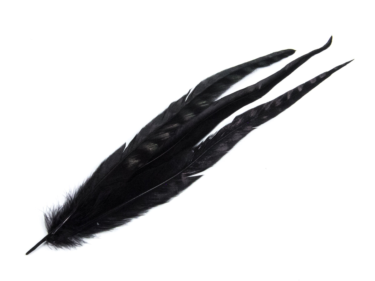 Long Chinchilla Coque Fringe - Dancewear colours