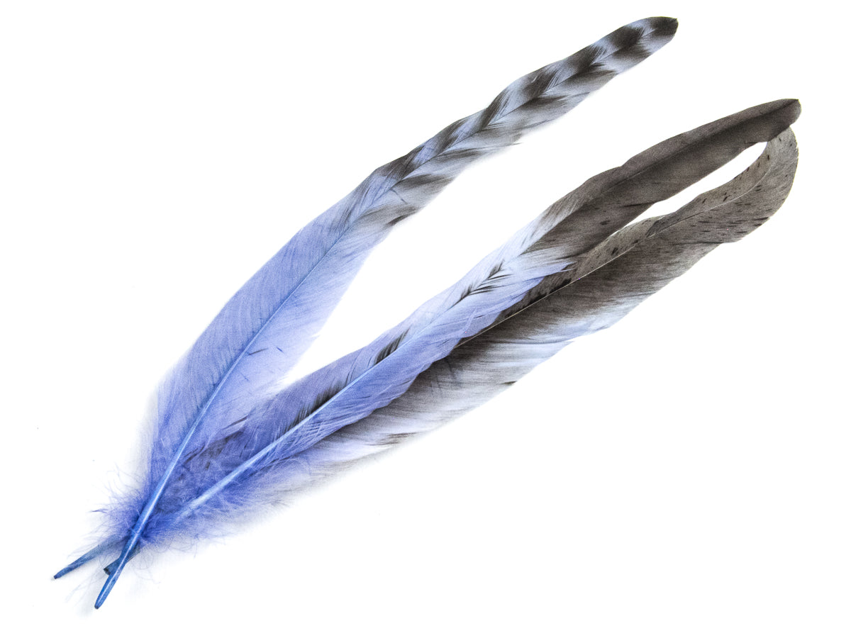 Long Chinchilla Coque Fringe - Dancewear colours