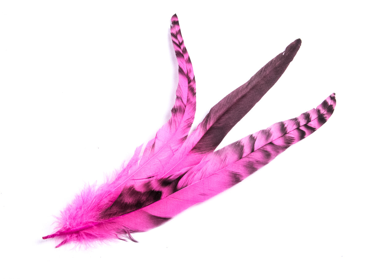 Long Chinchilla Coque Fringe - Dancewear colours