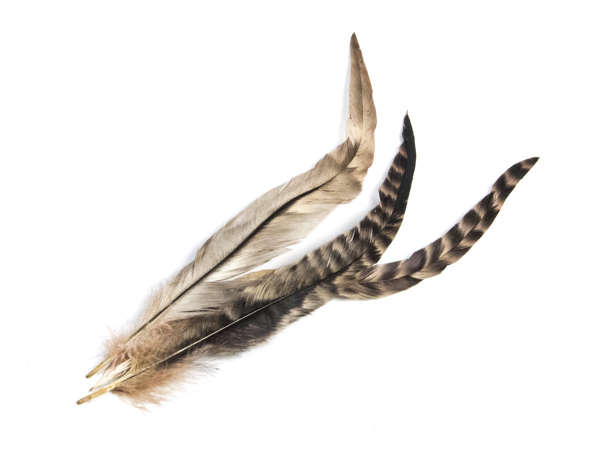 Long Chinchilla Coque Fringe - Dancewear colours