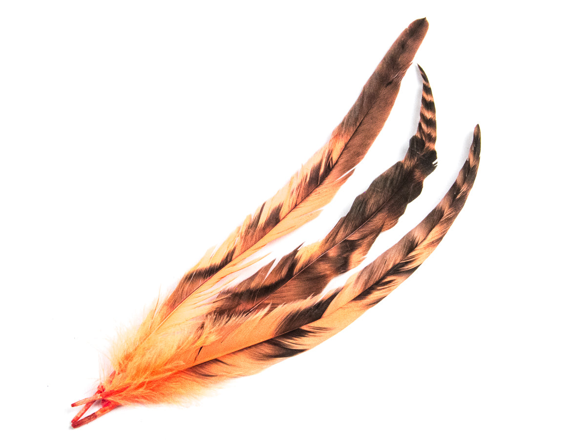 Long Chinchilla Coque Fringe - Dancewear colours