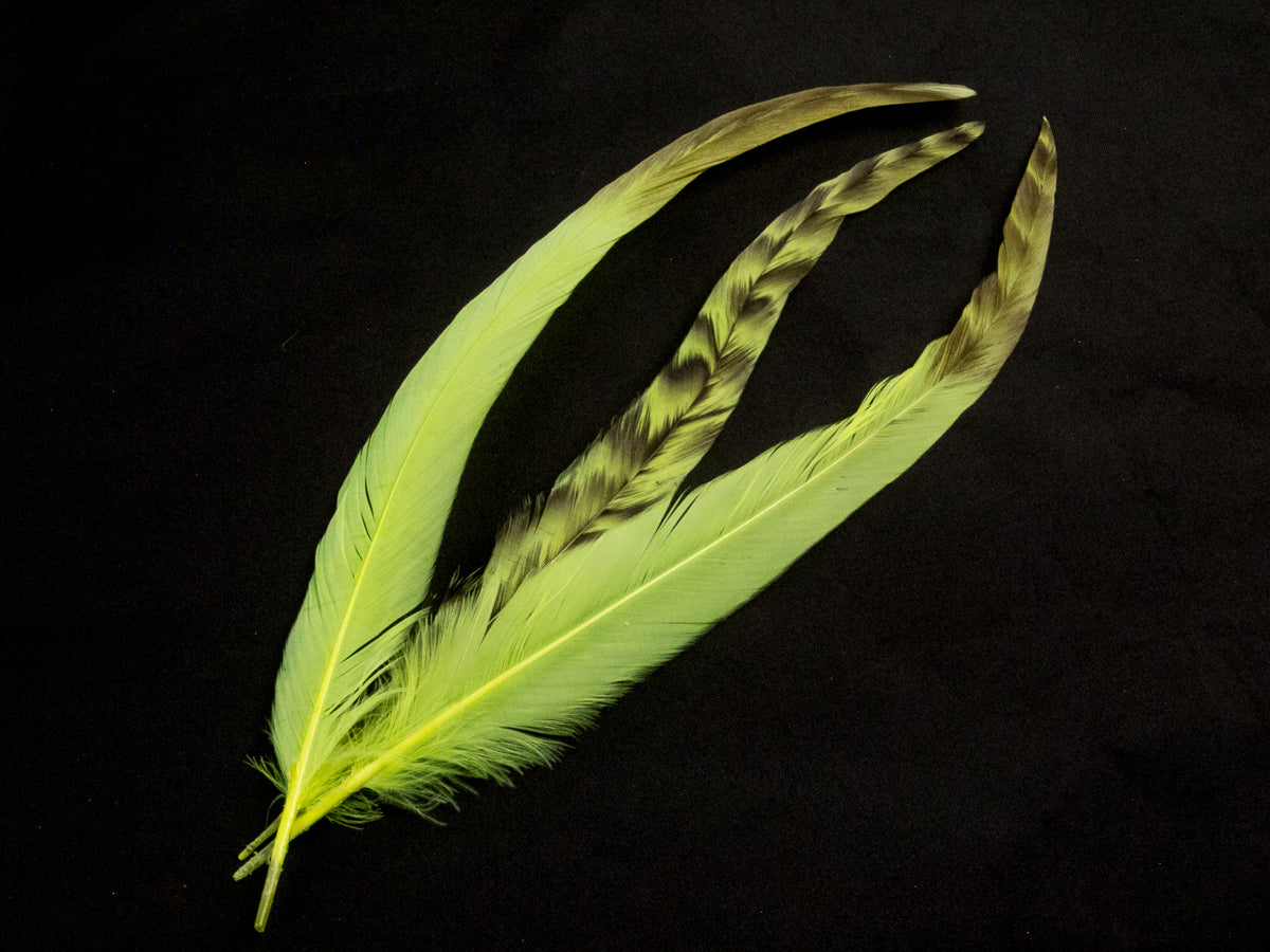 Long Chinchilla Coque Fringe - Dancewear colours