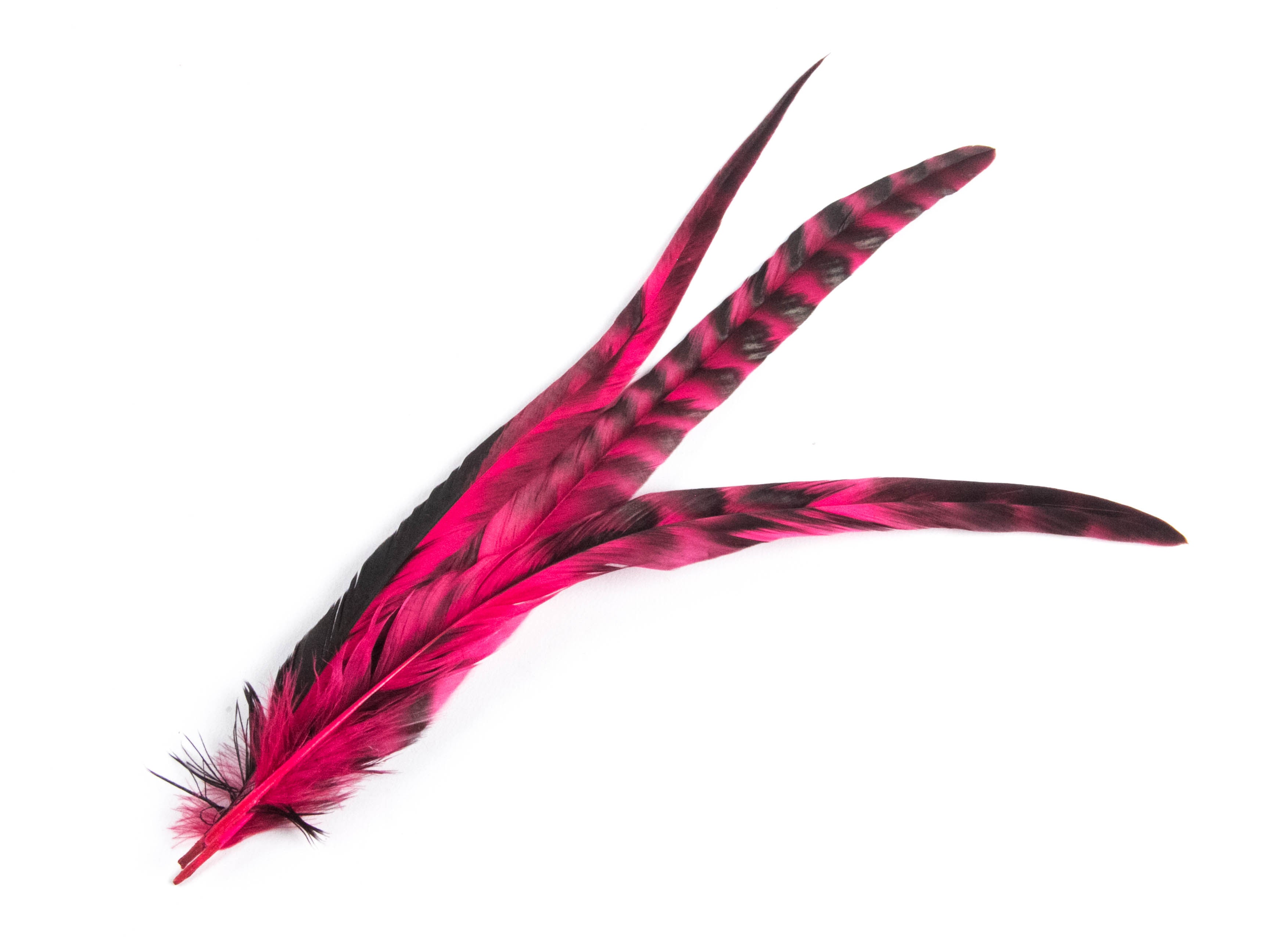 Long Chinchilla Coque Fringe - Dancewear colours