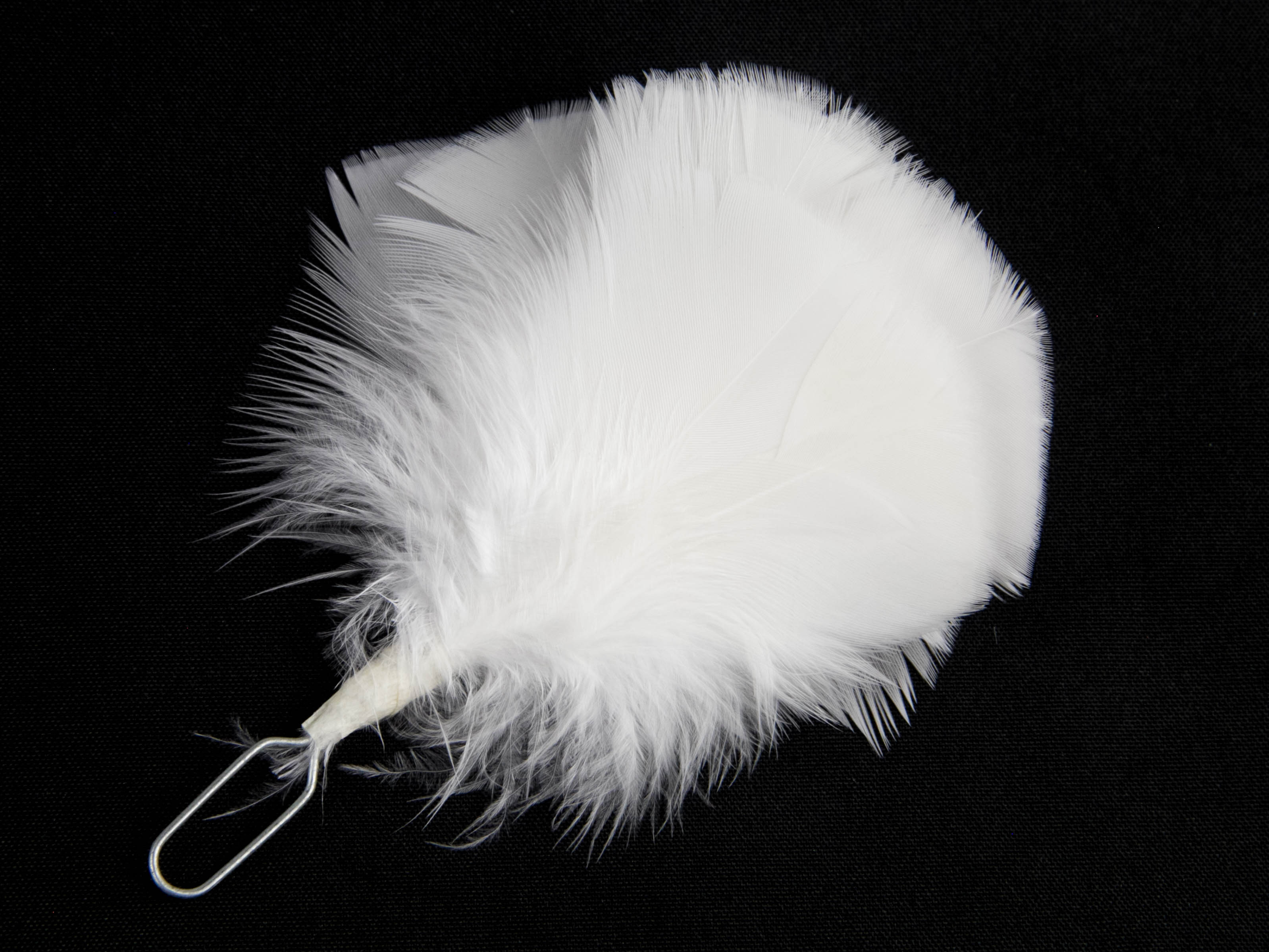 Flat Glengarry Hackle single colour (Pack of 5)