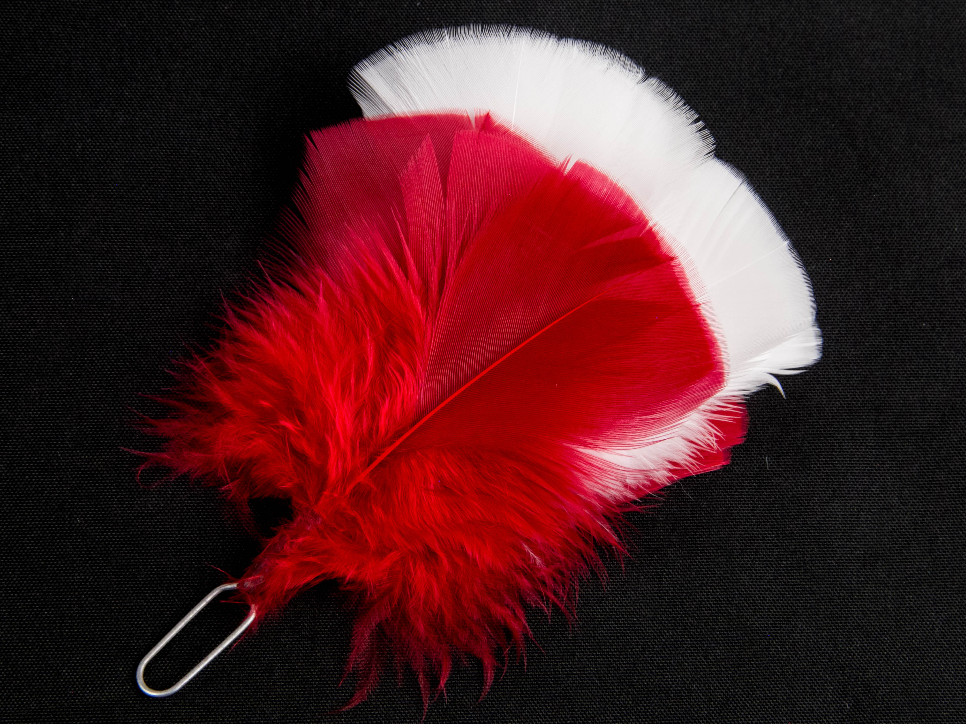 Flat Glengarry Hackle two colours (Pack of 5)