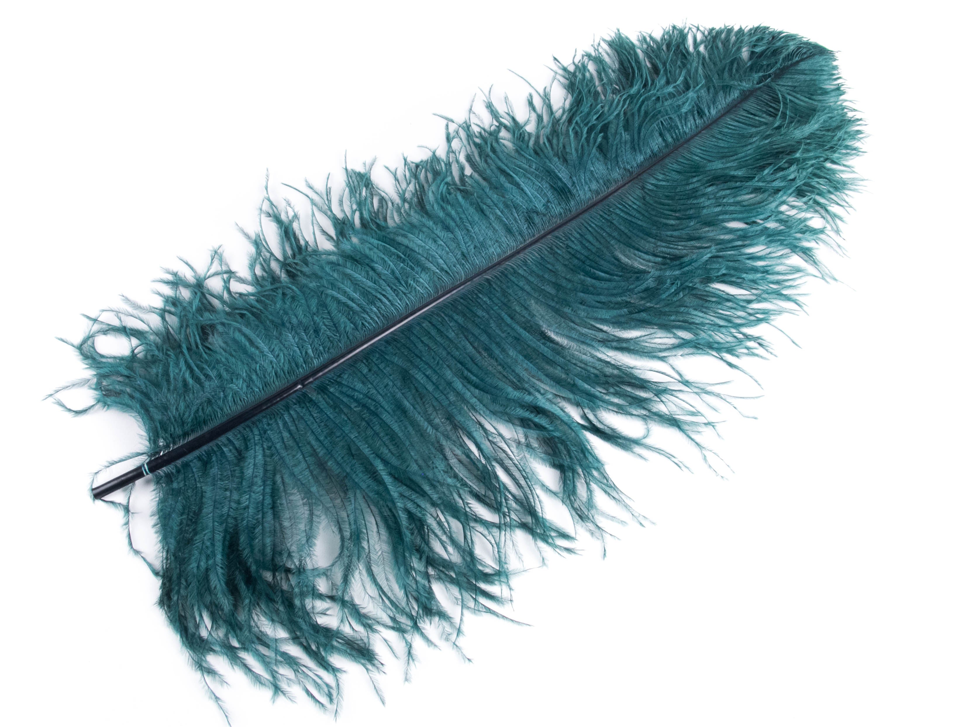 Ostrich Premium Wing Feather (50-65cm)