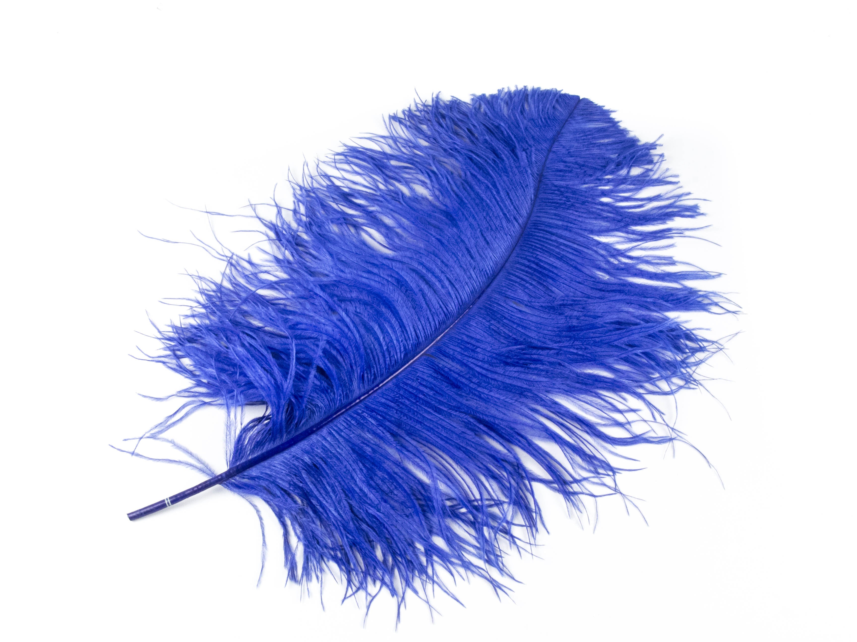 Ostrich Prime Wing Feather (50-65cm)