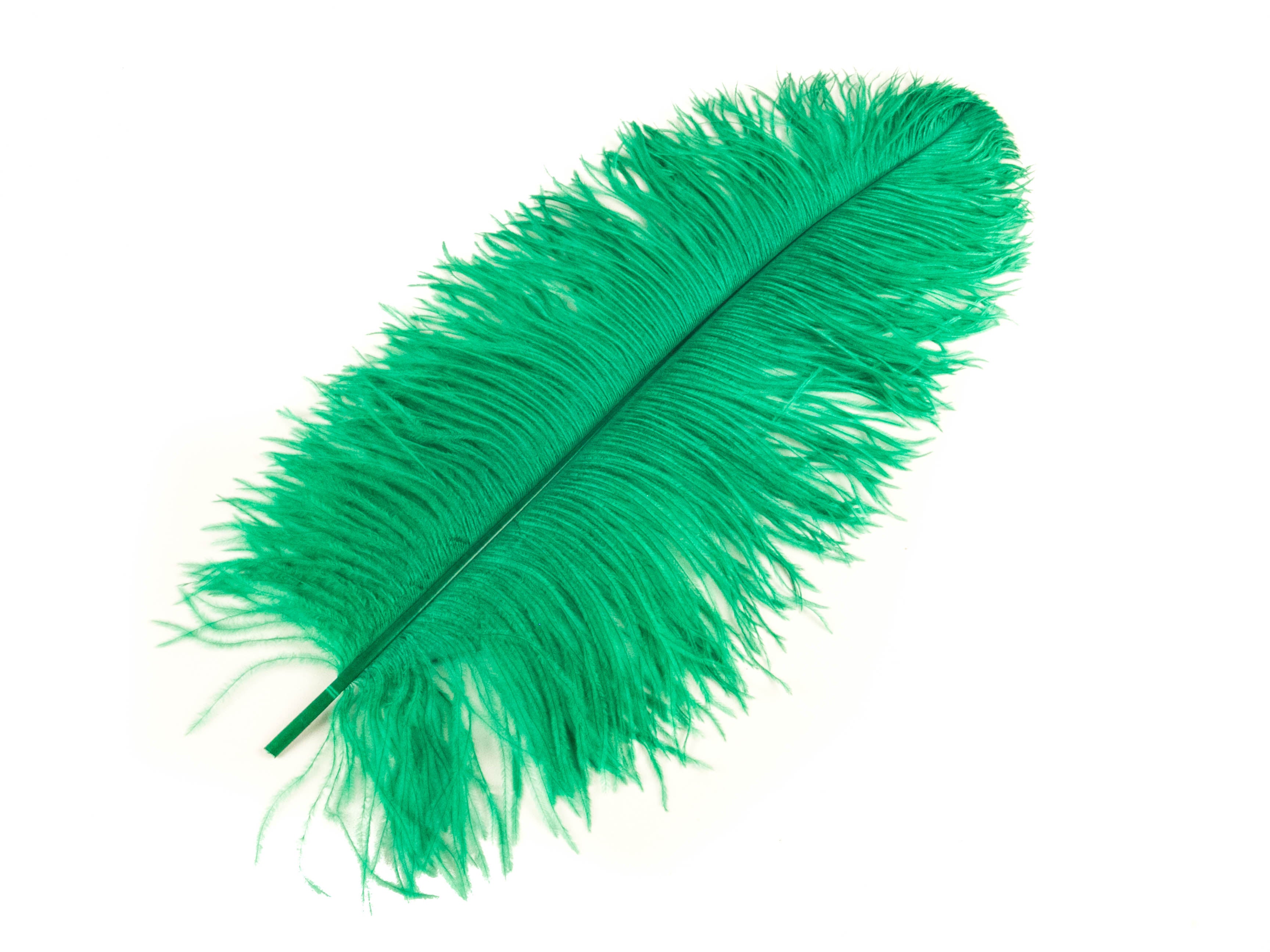 Ostrich Feather Pen