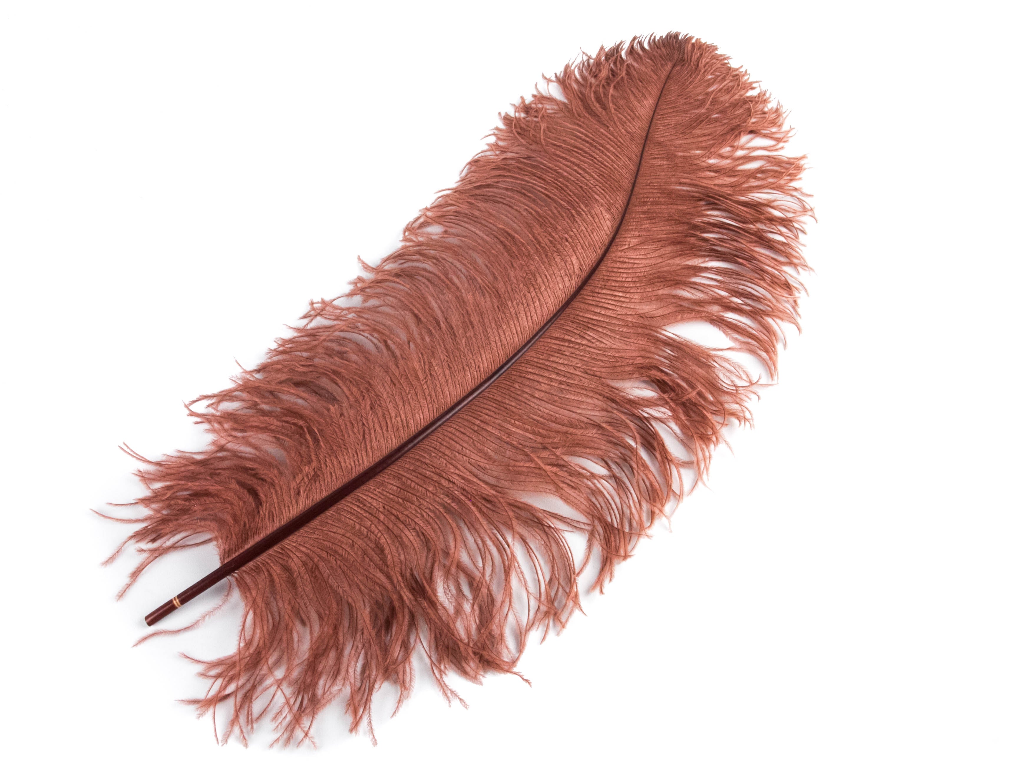 Ostrich Feather Pen