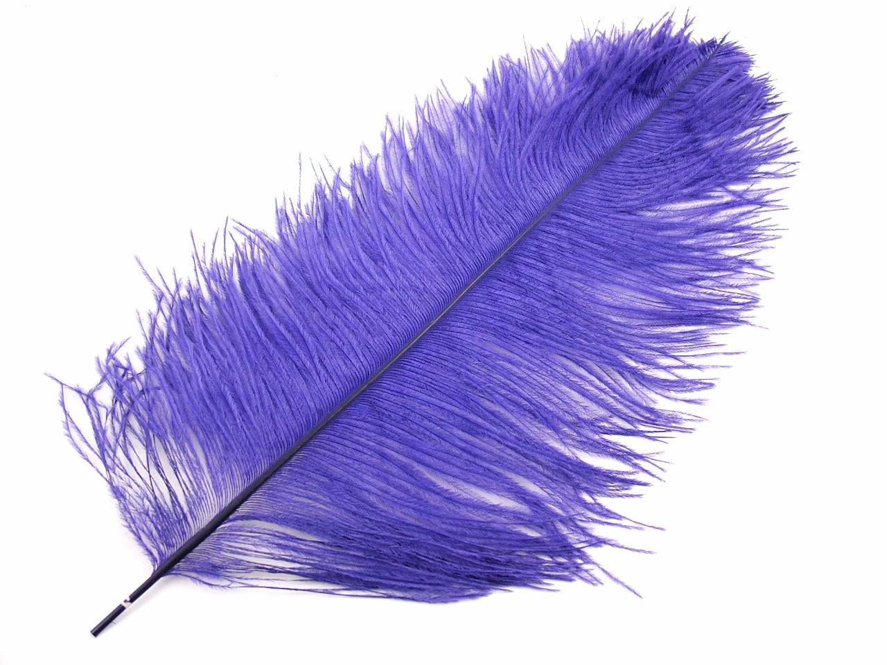 Ostrich Feather Pen