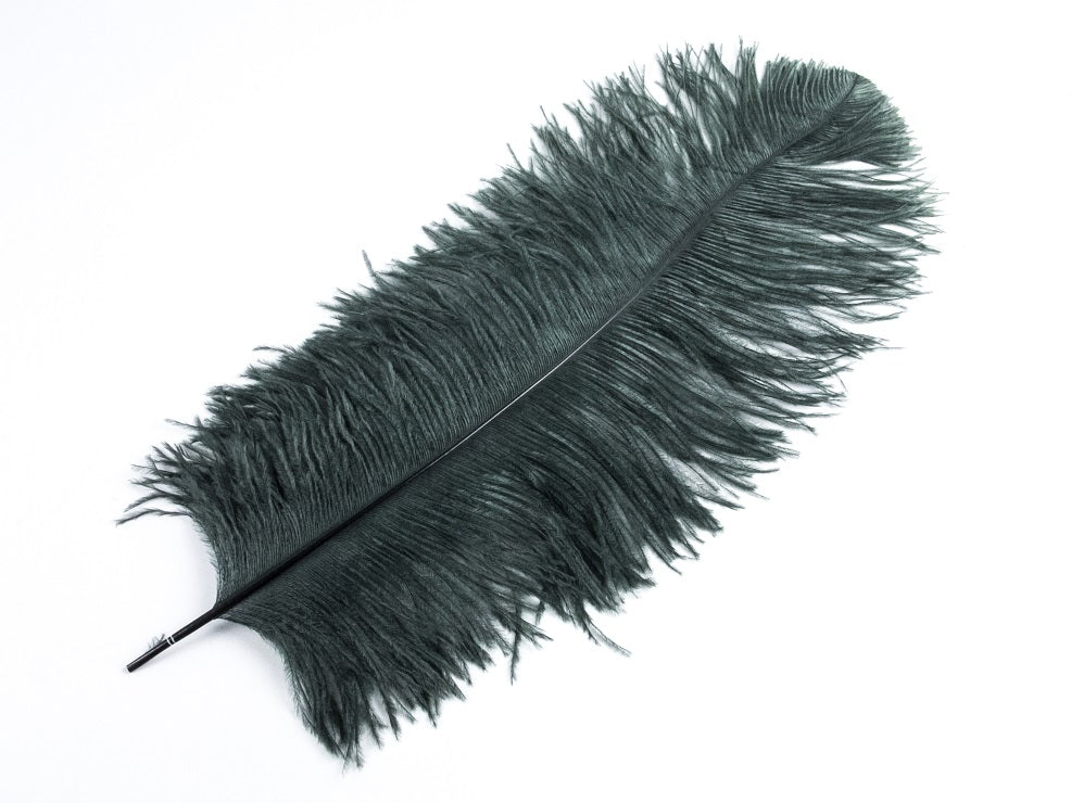 Extra Long Ostrich Premium Wing Feather (65-75cm)