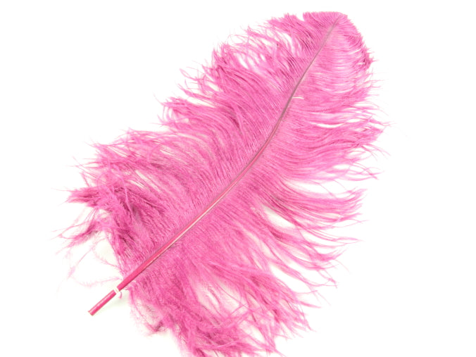 Ostrich Feather Pen