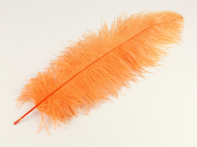 Ostrich Feather Pen