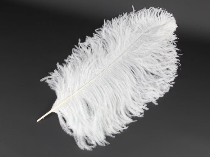 Ostrich Prime Wing Feather (50-65cm)