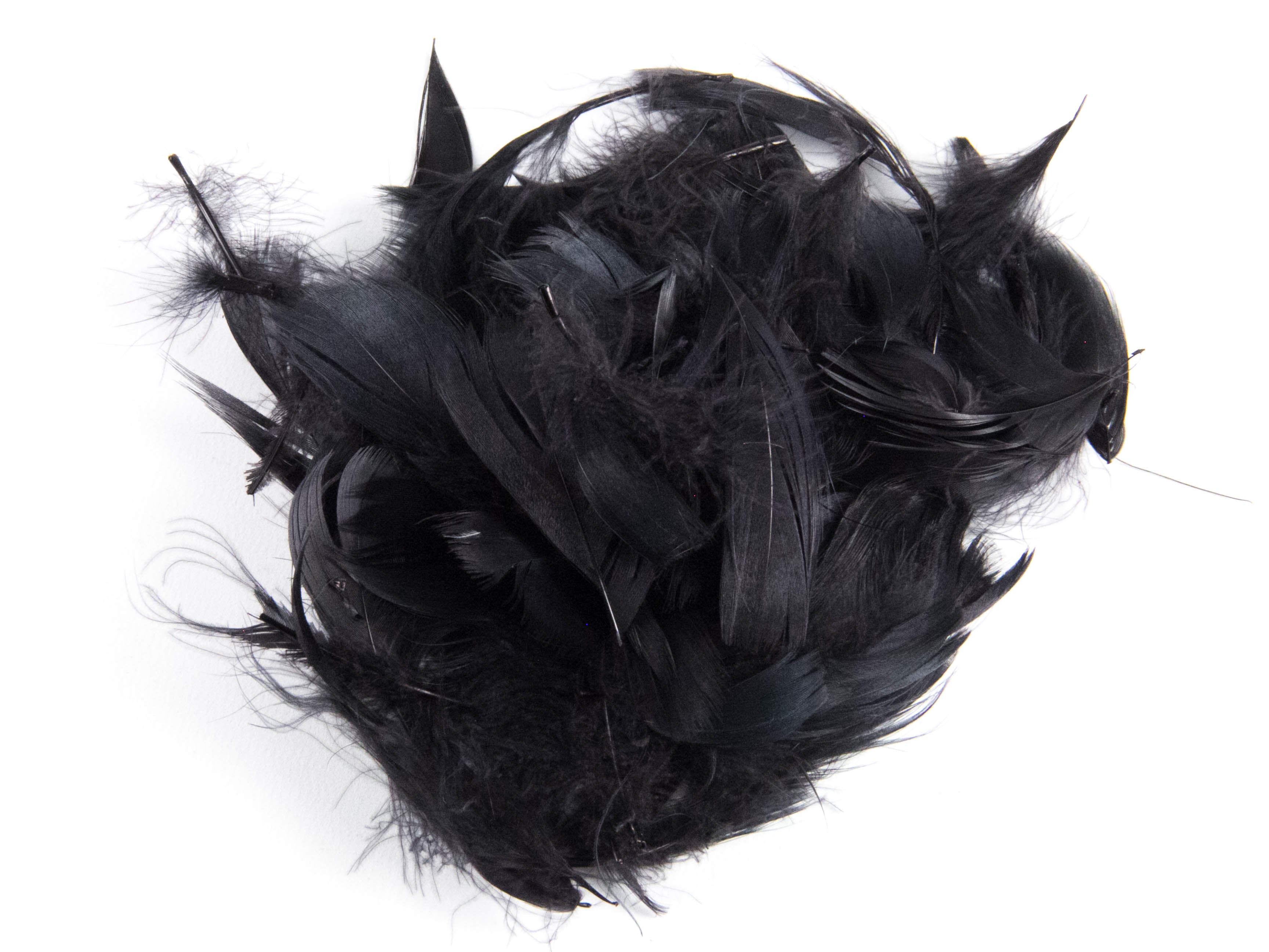 Bulk Goose Coquille Feathers