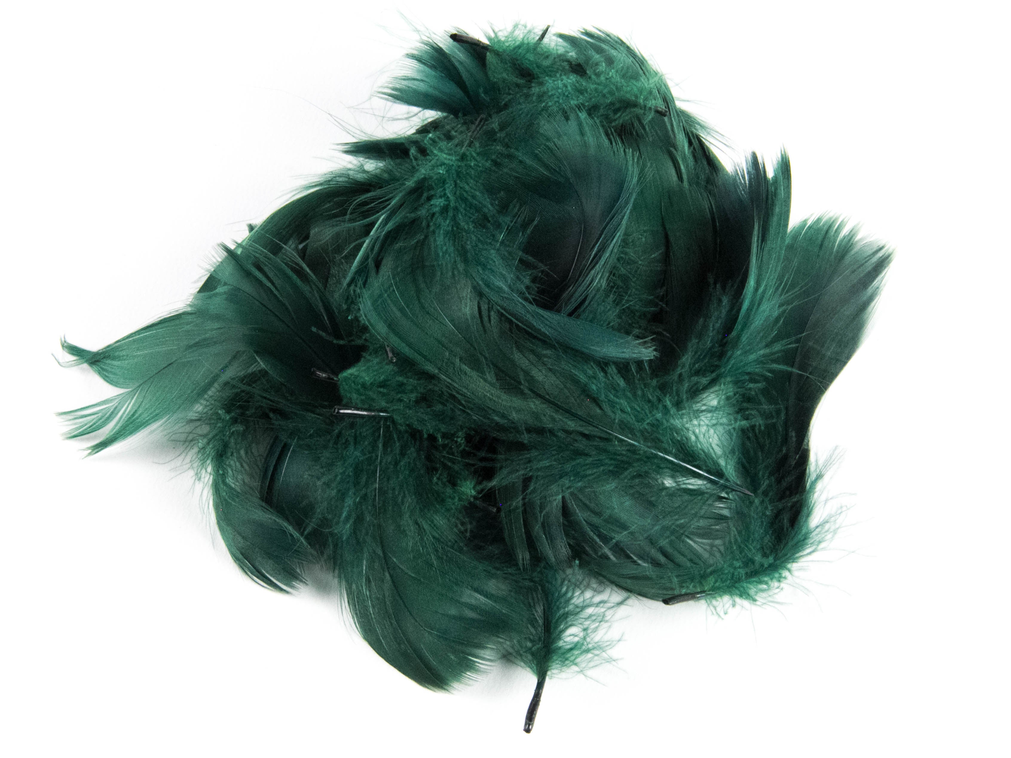 Goose Coquille Feather Fringe