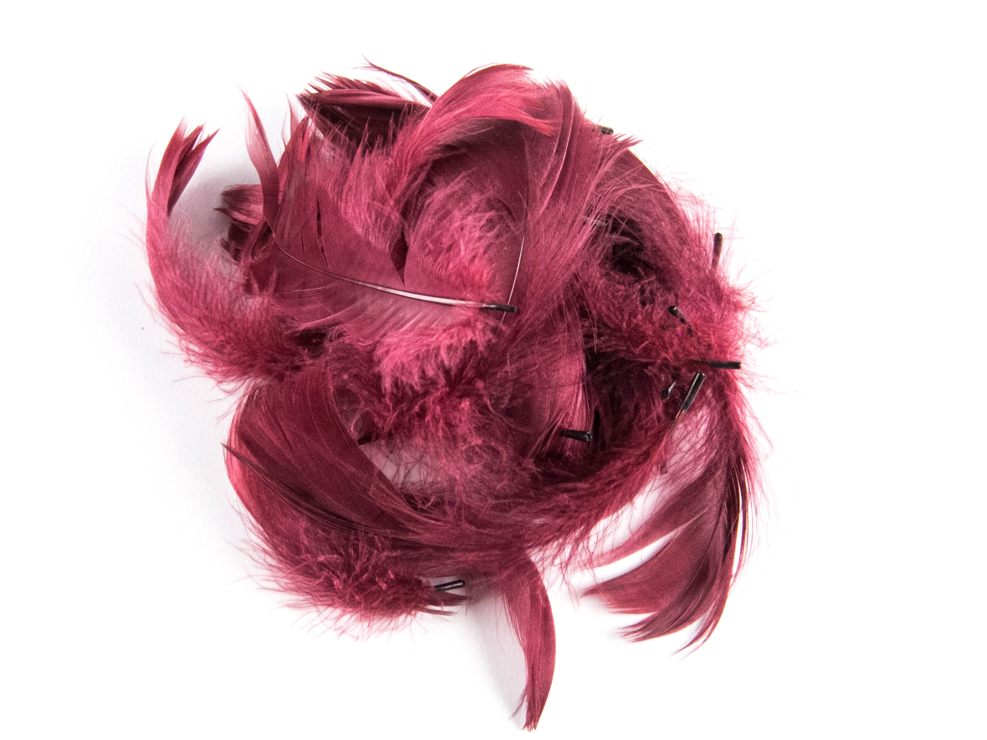 Goose Coquille Feather Fringe