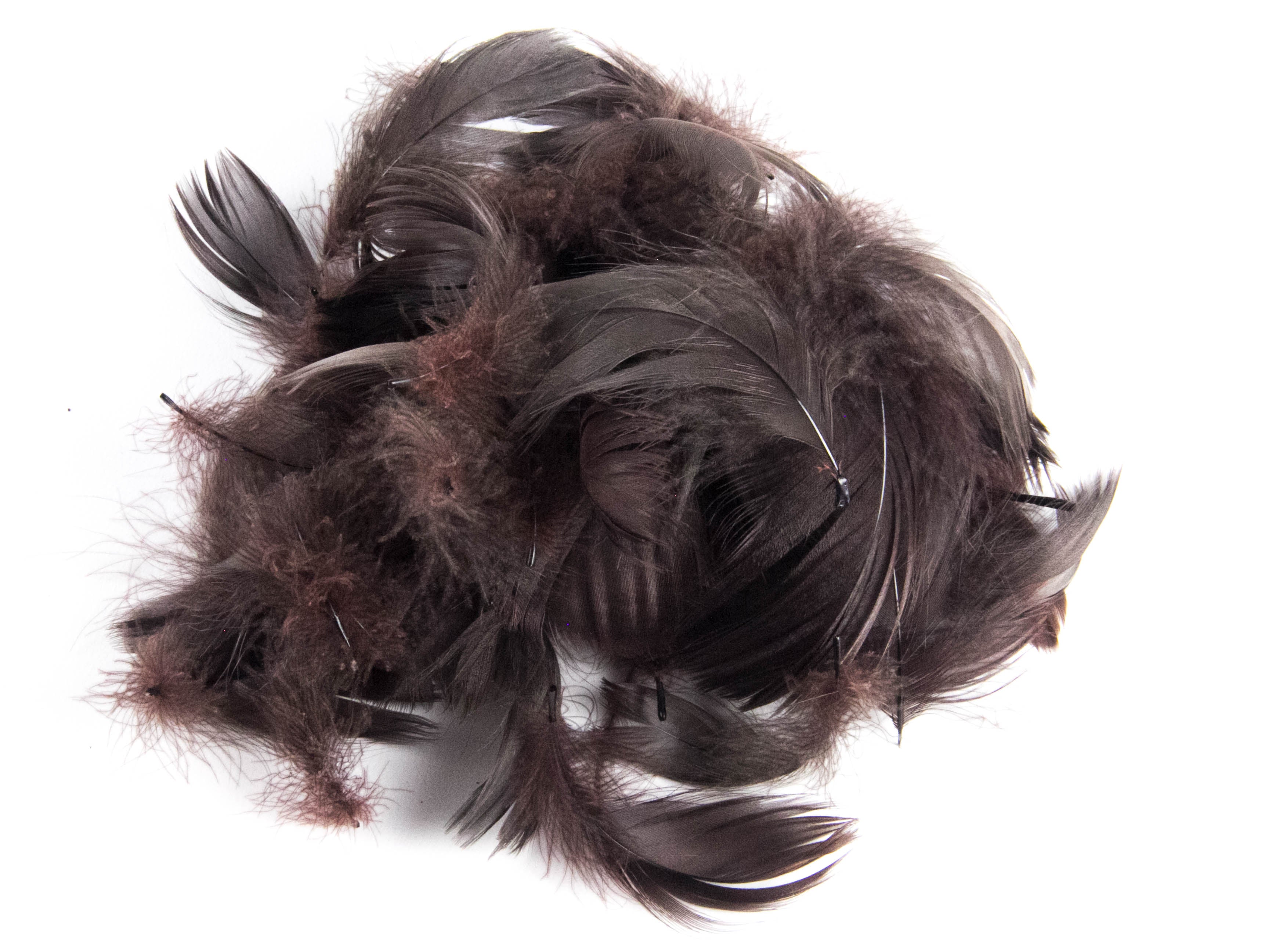 Goose Coquille Feather Fringe