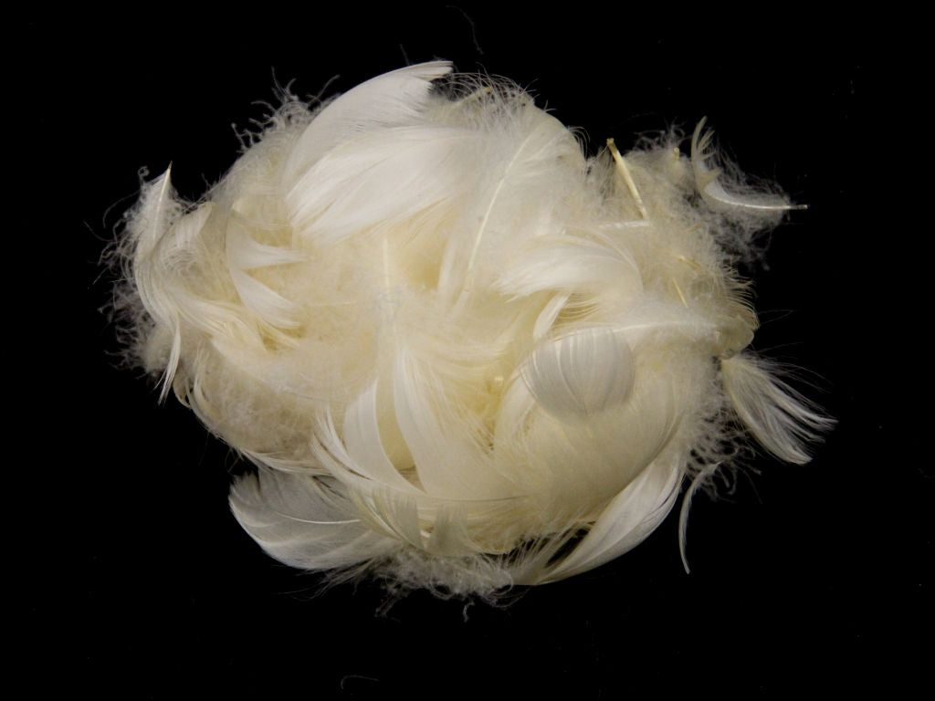 Goose Coquille Feather Fringe