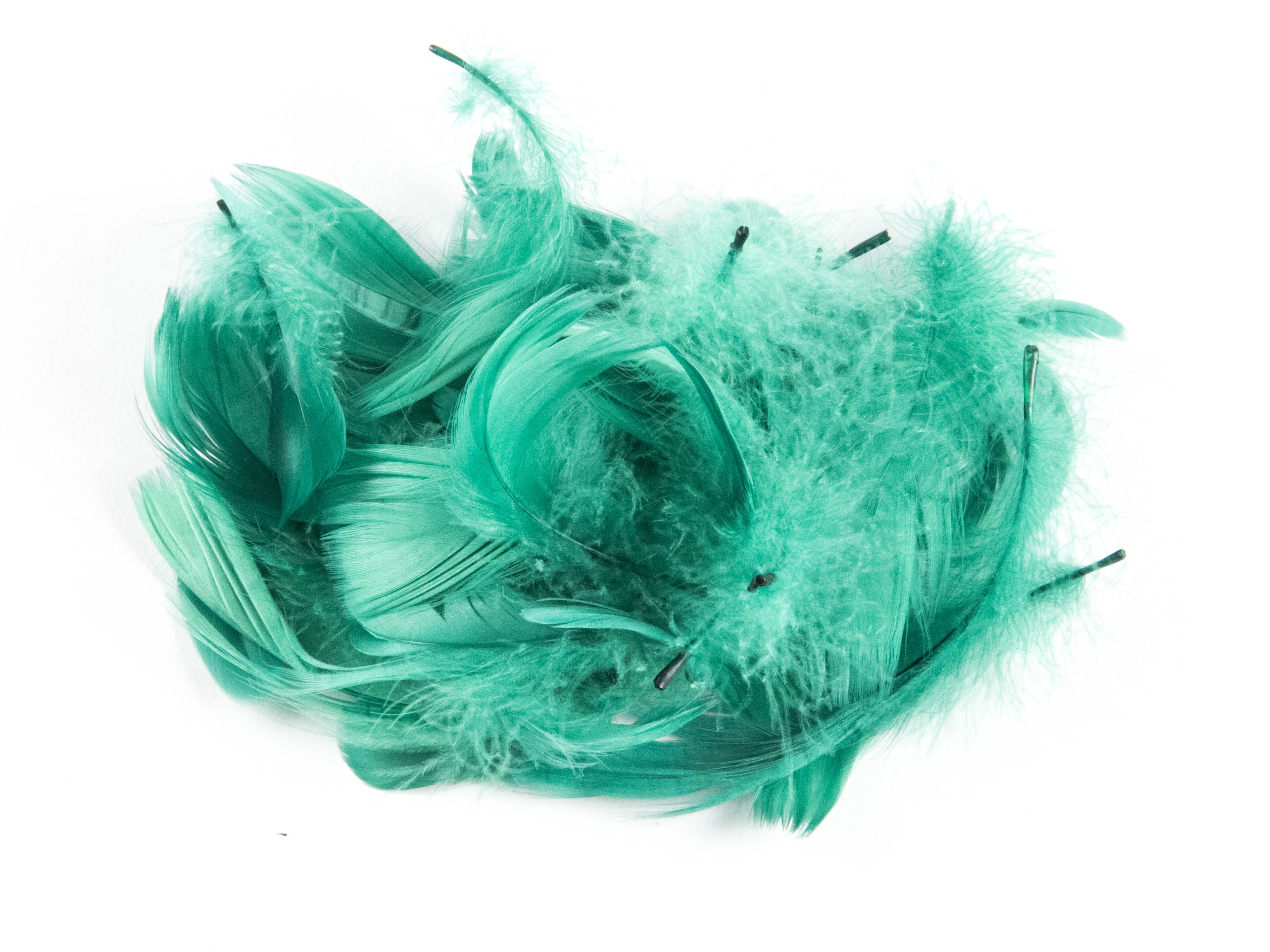 Goose Coquille Feather Fringe