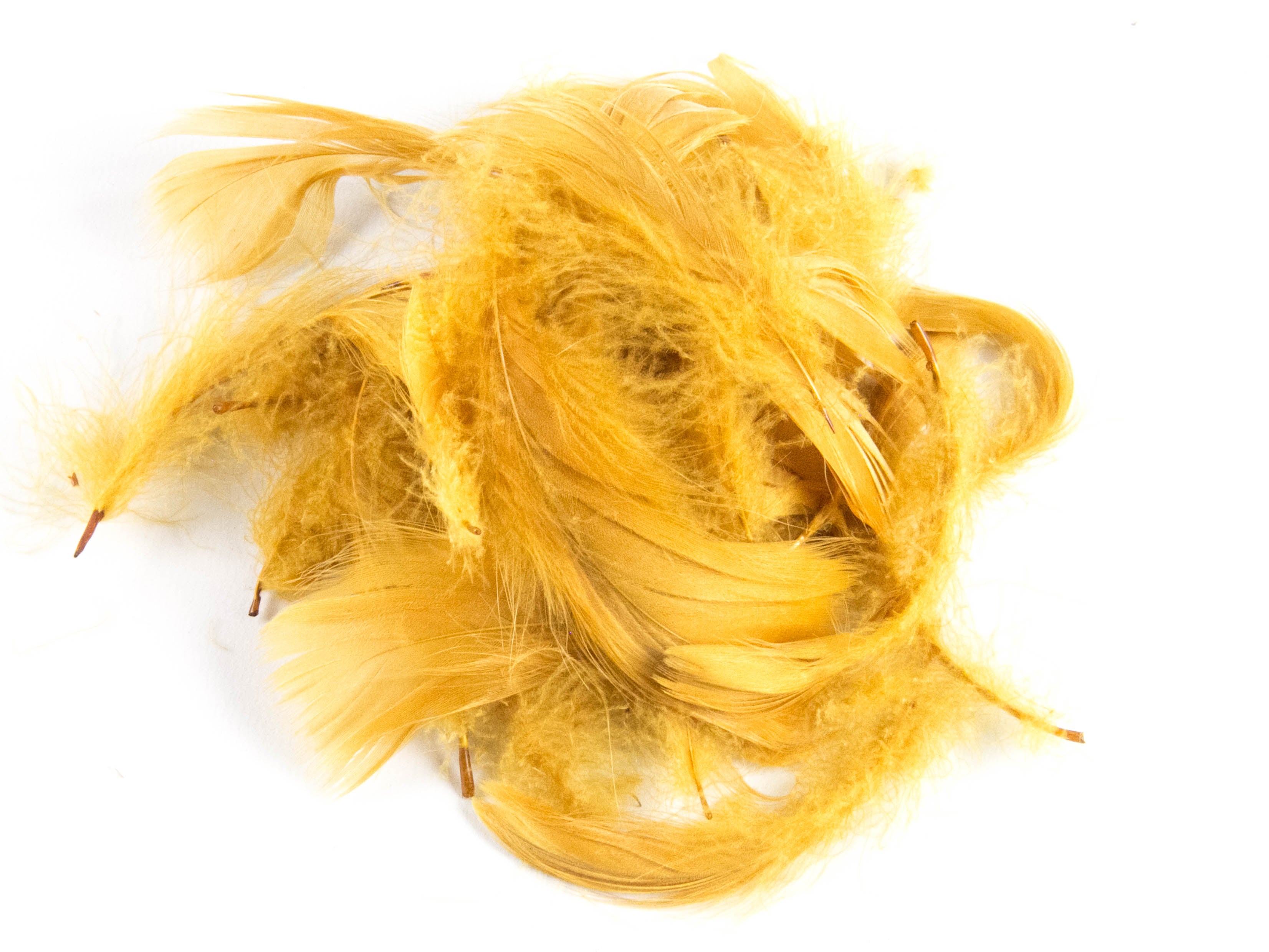 Goose Coquille Feather Fringe