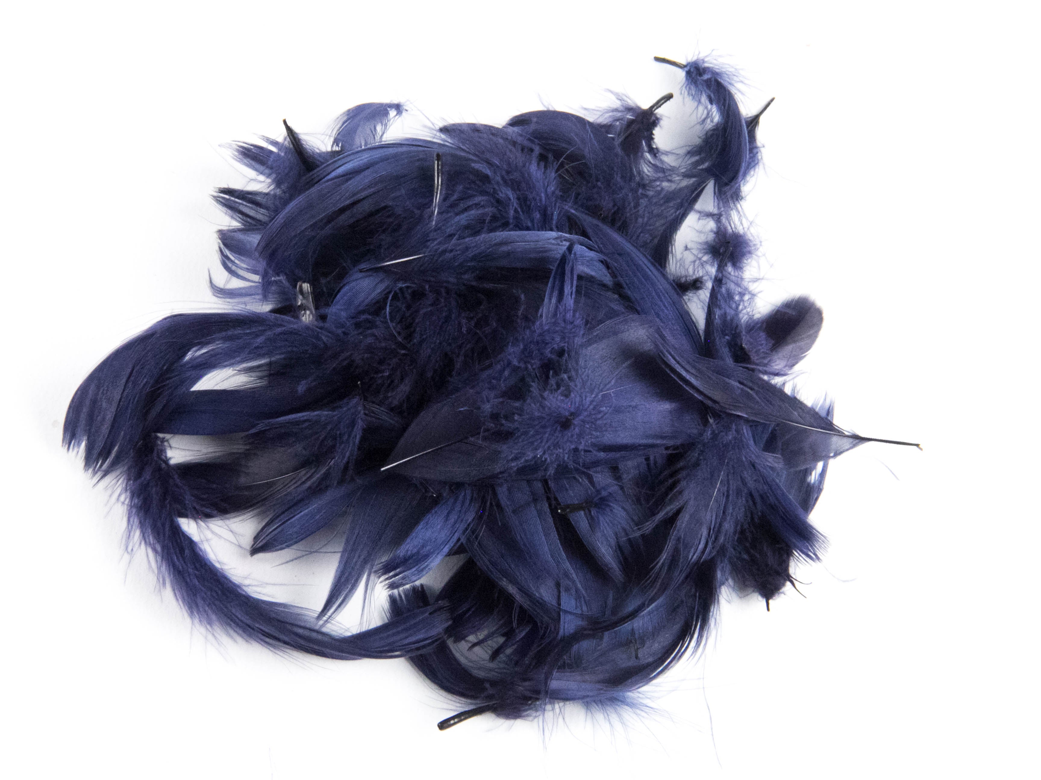Goose Coquille Feather Fringe