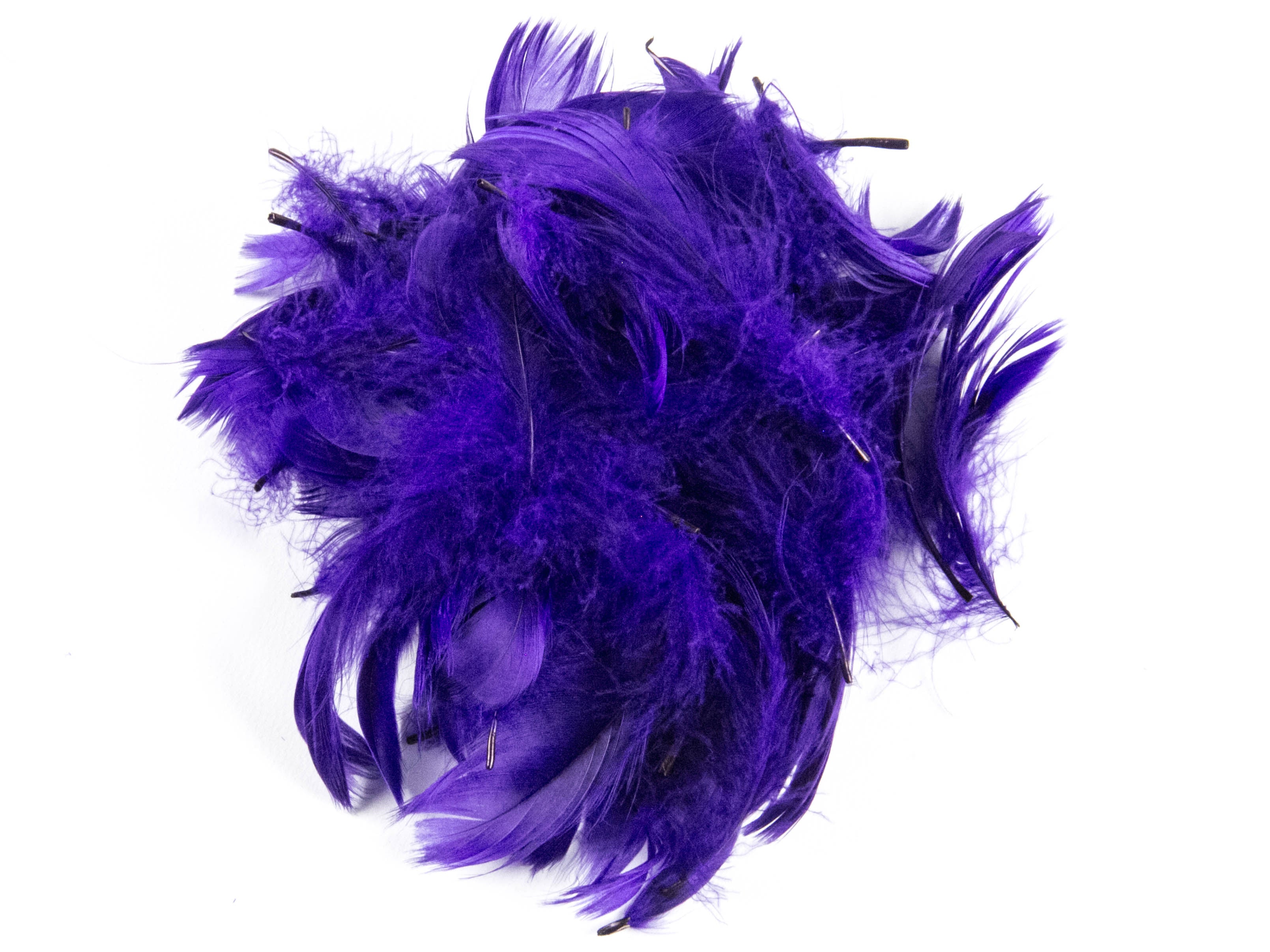 Goose Coquille Feather Fringe