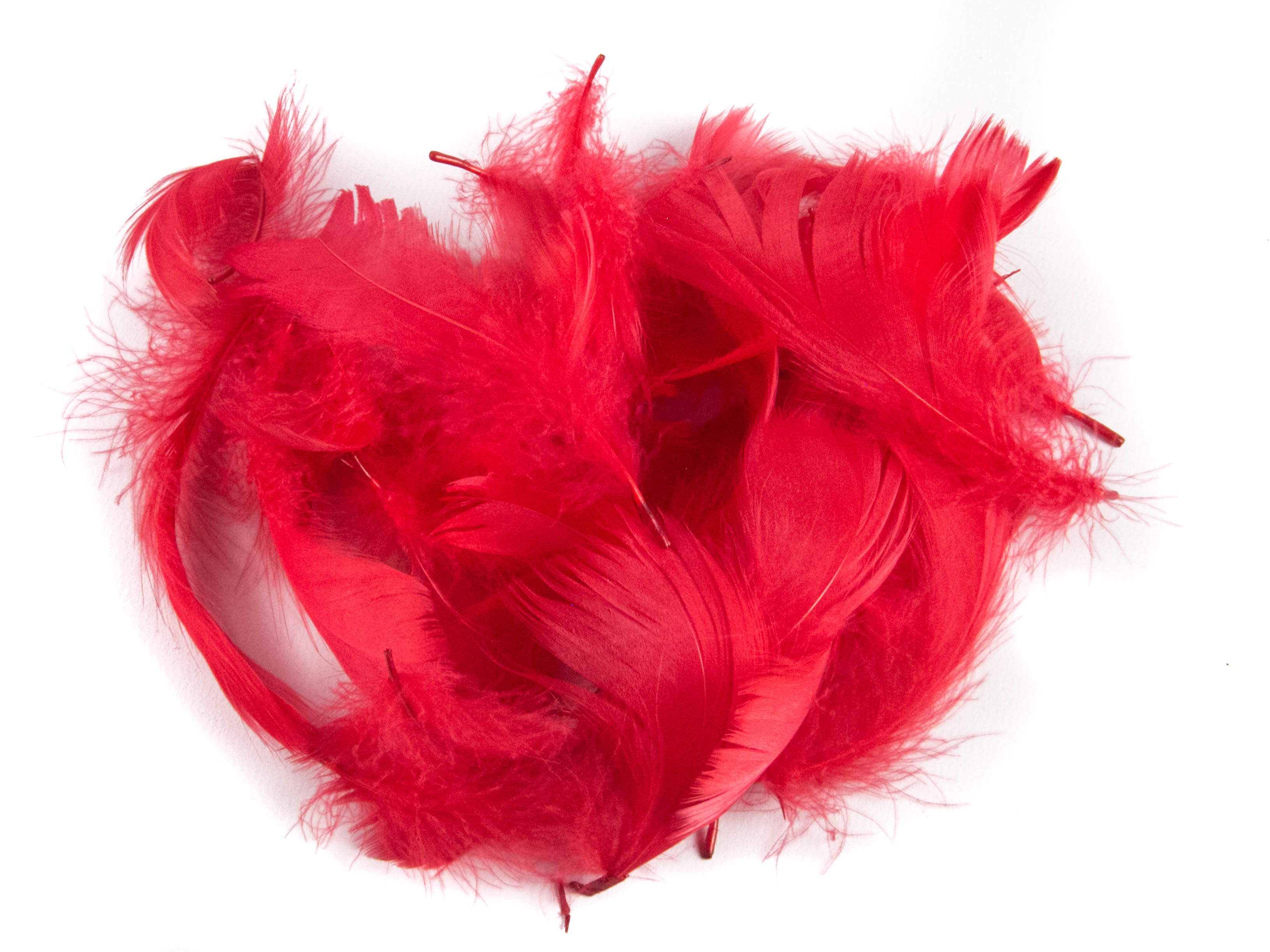 Goose Coquille Feather Fringe