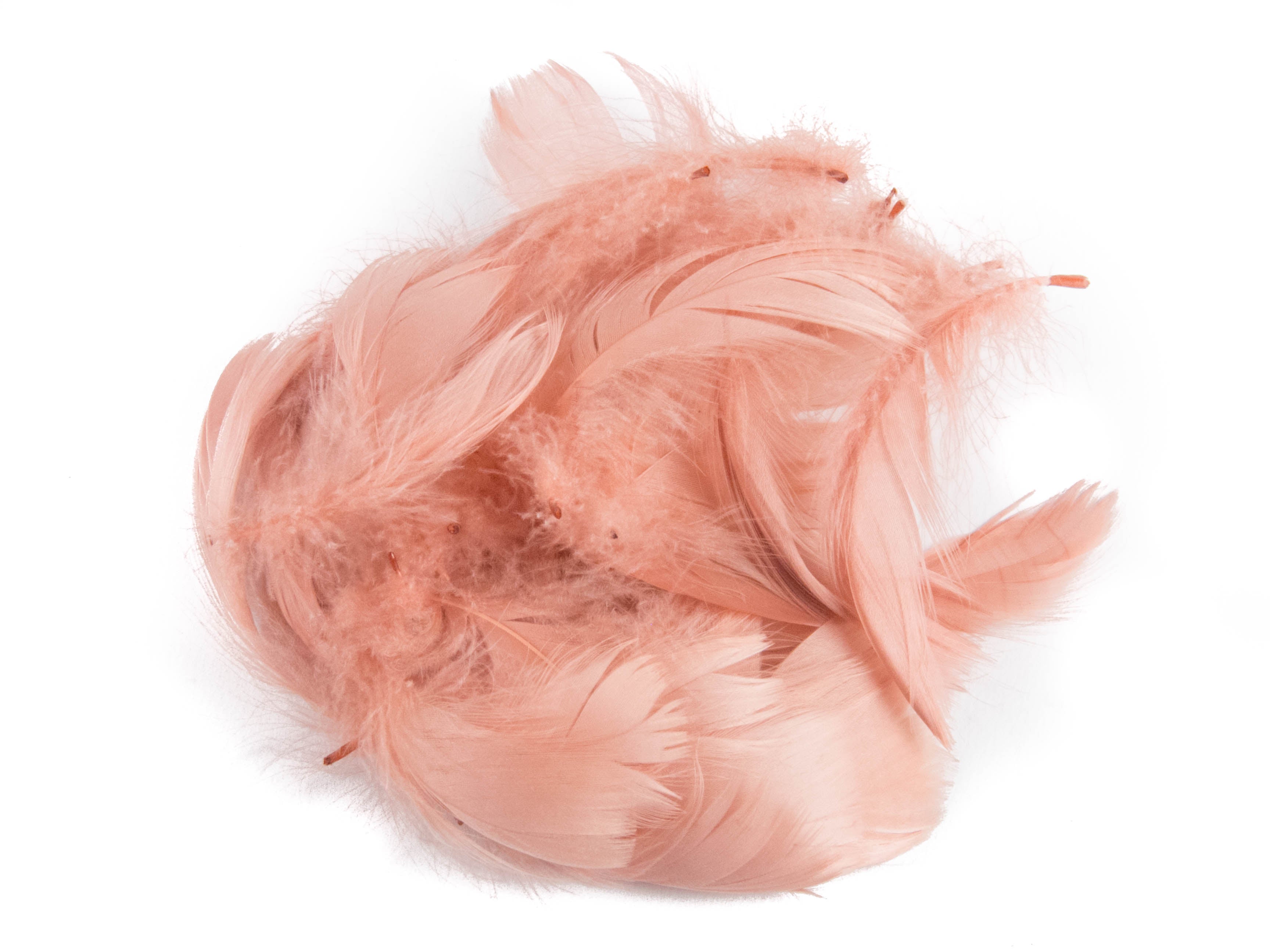 Goose Coquille Feather Fringe