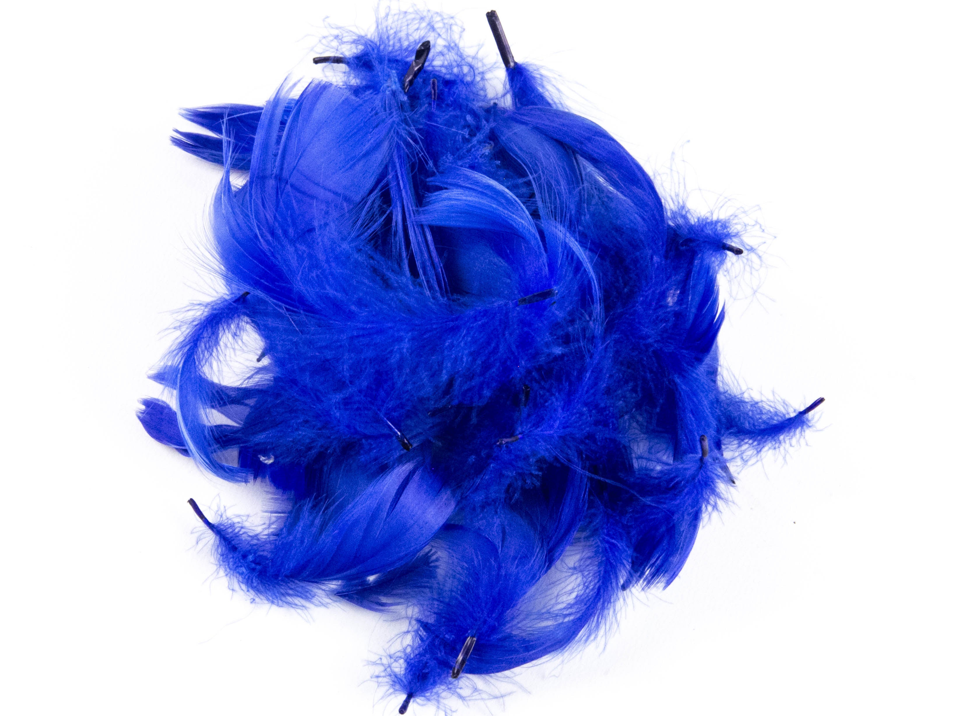 Goose Coquille Feather Fringe