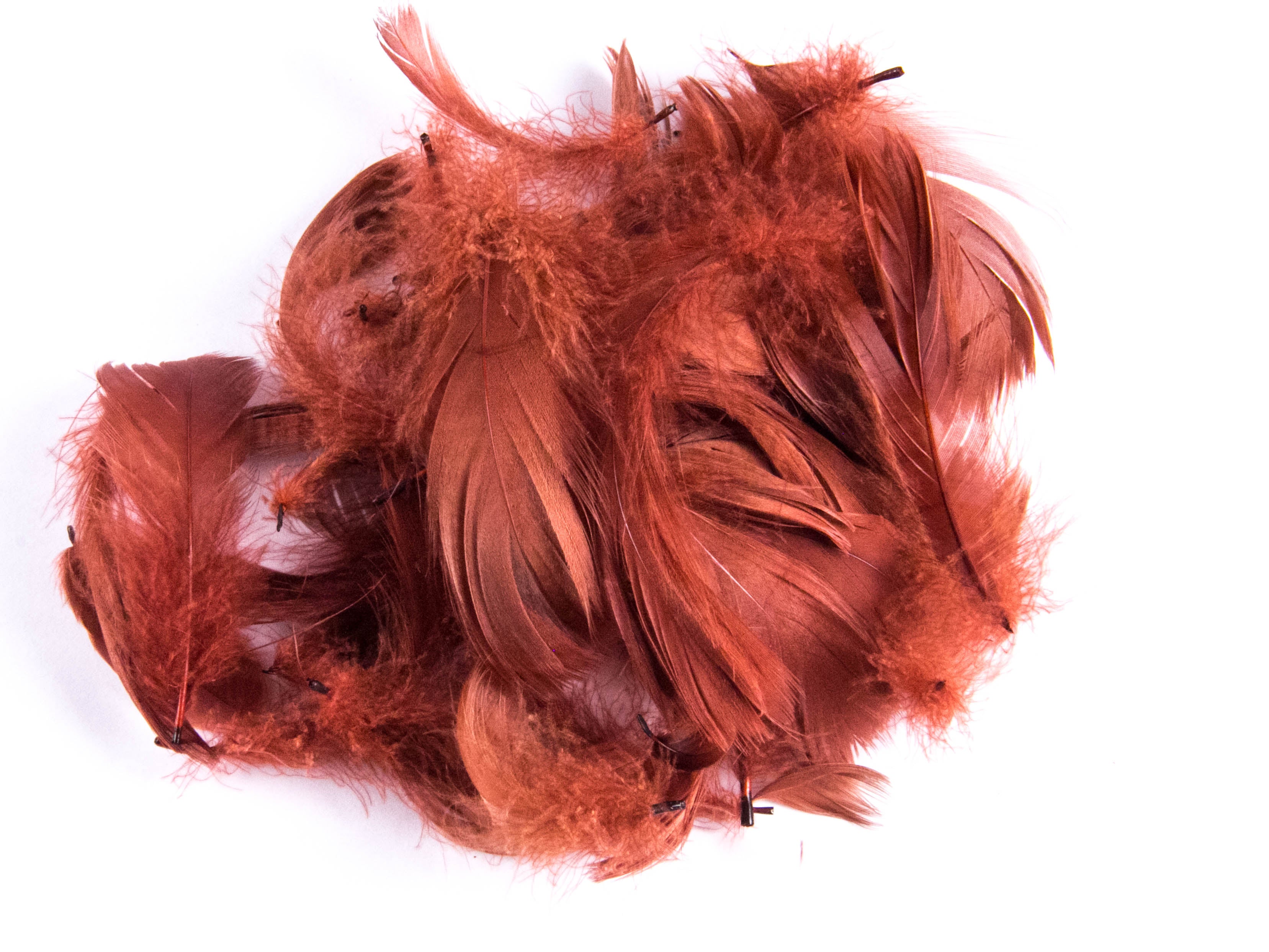 Goose Coquille Feather Fringe