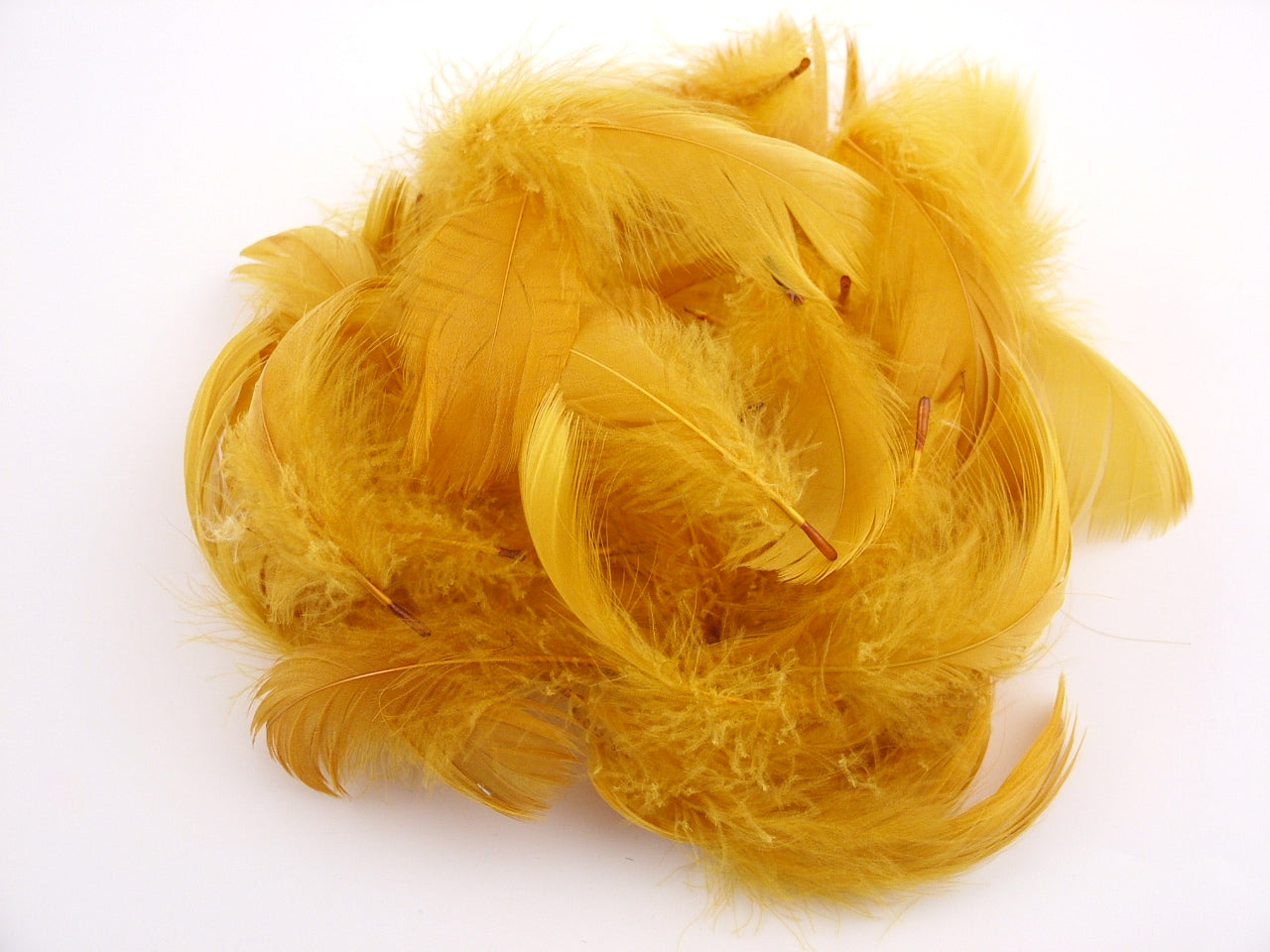 Bulk Goose Coquille Feathers