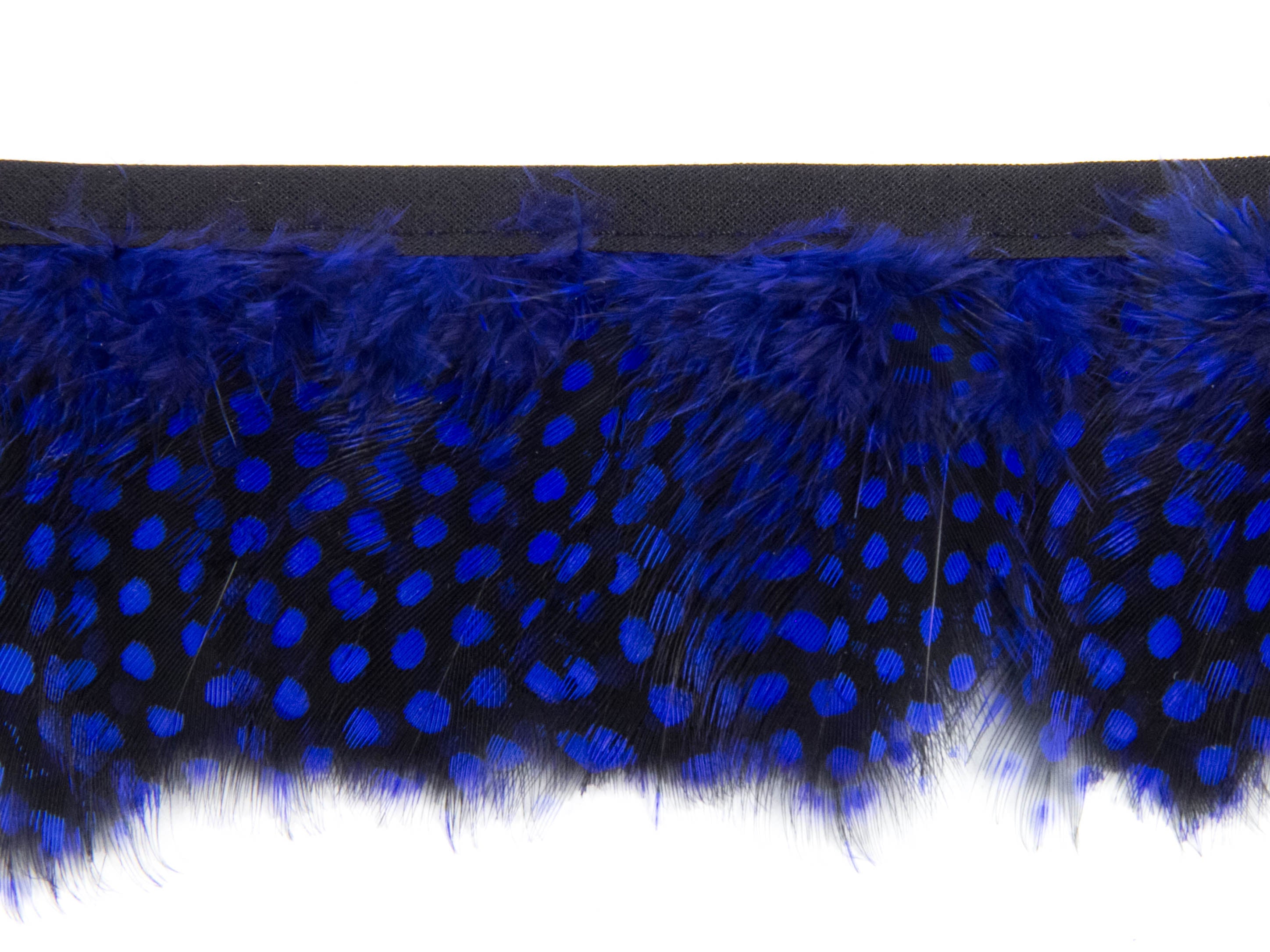 Guinea Fowl Fringe