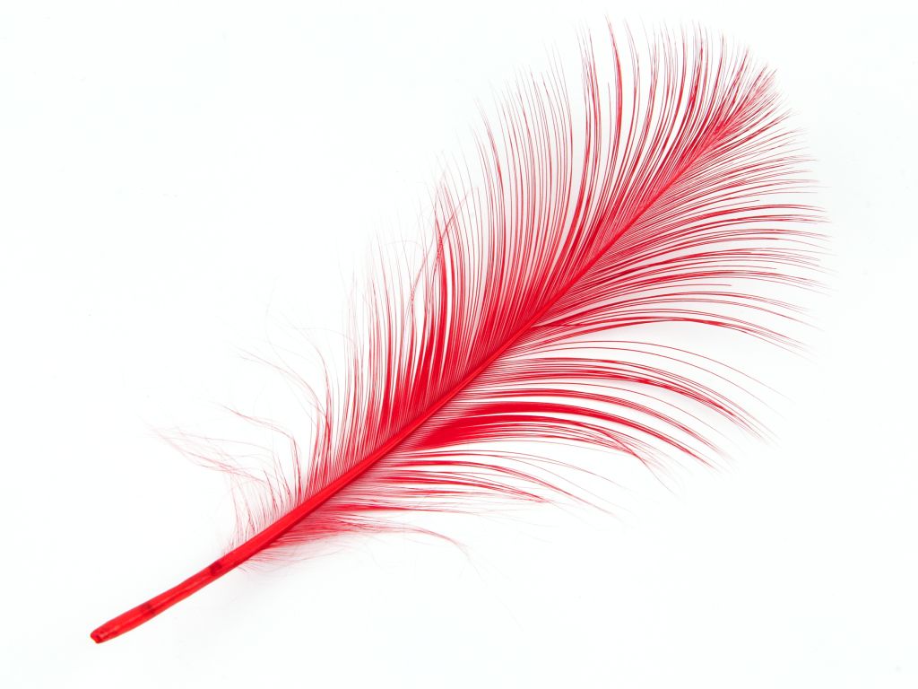 Burnt Goose Nagoire Feather (Pack of 10)