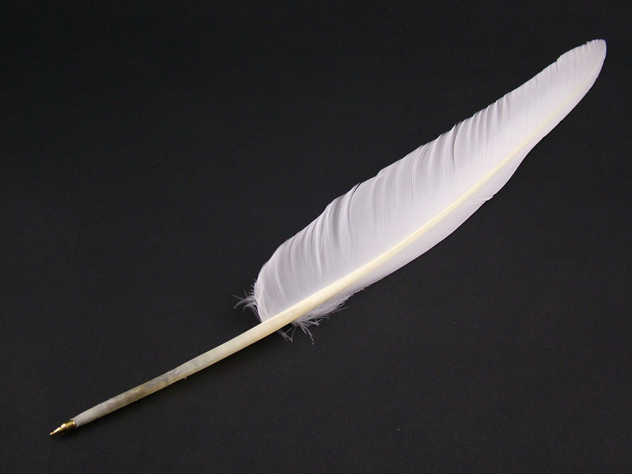 Goose Quill Feather Pens - Basic ballpoint (Pack of 10)