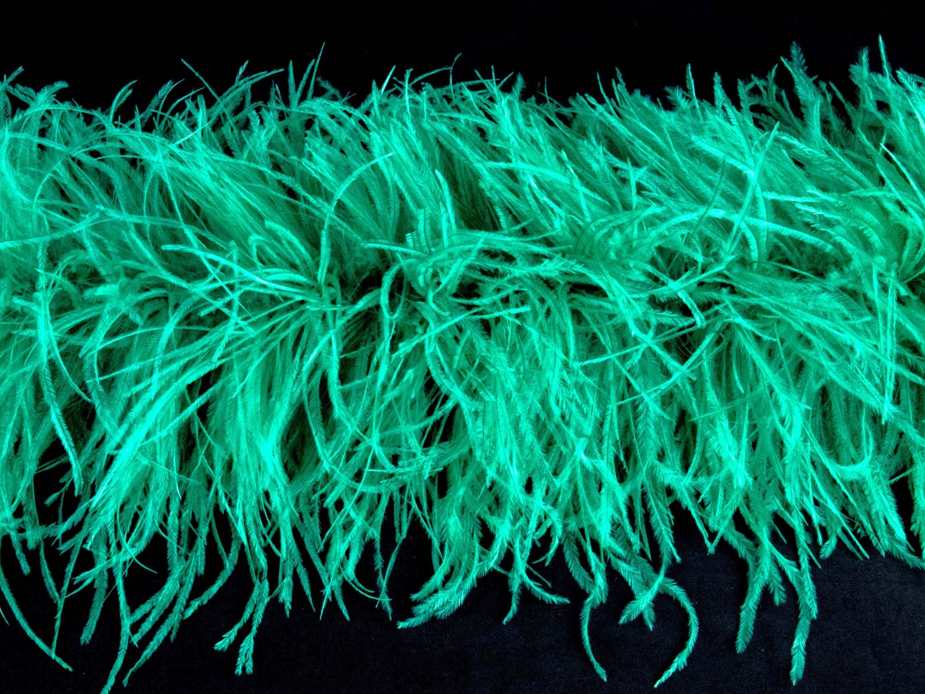 Ostrich Feather Boa with Stripped Coque - Fashion Colours