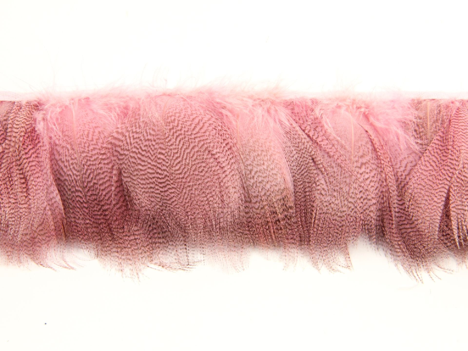 Mallard Duck Flank Fringe