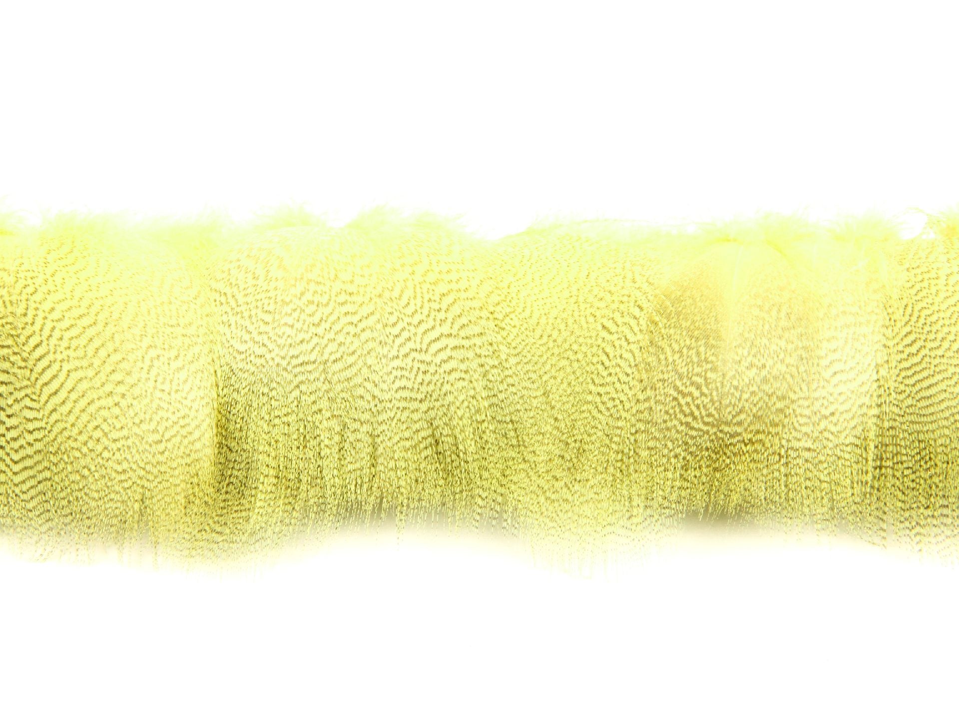 Mallard Duck Flank Fringe