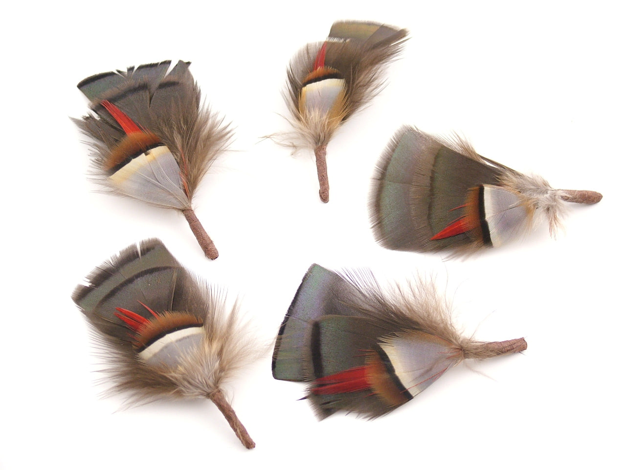 Partridge Hat Mount - Pack of 10